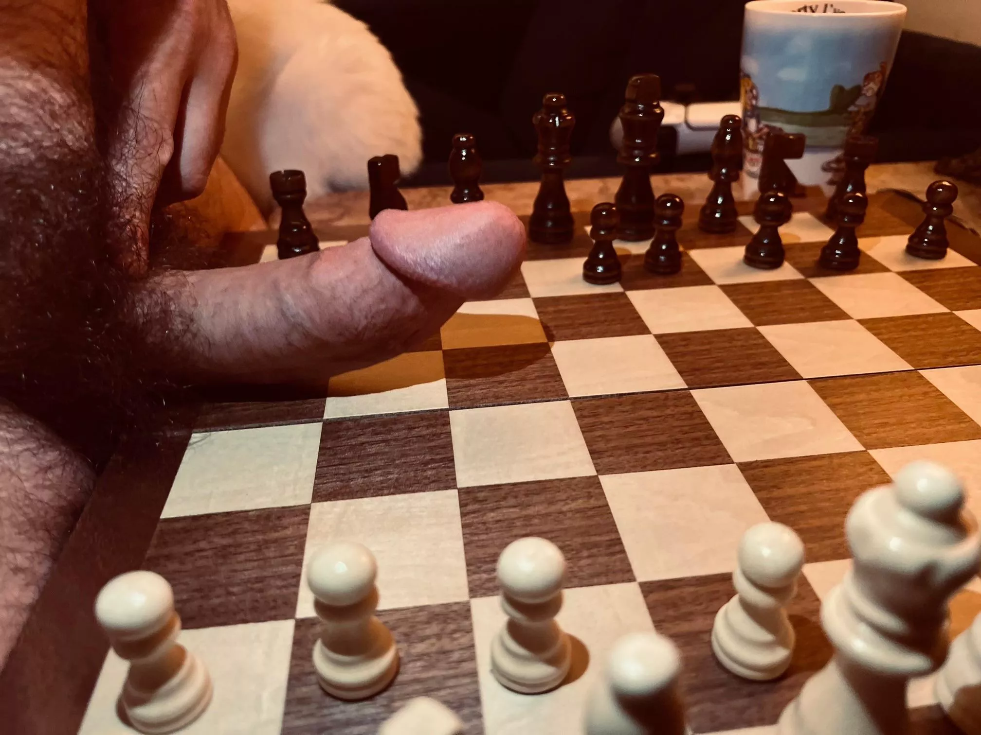 (30) Check mate