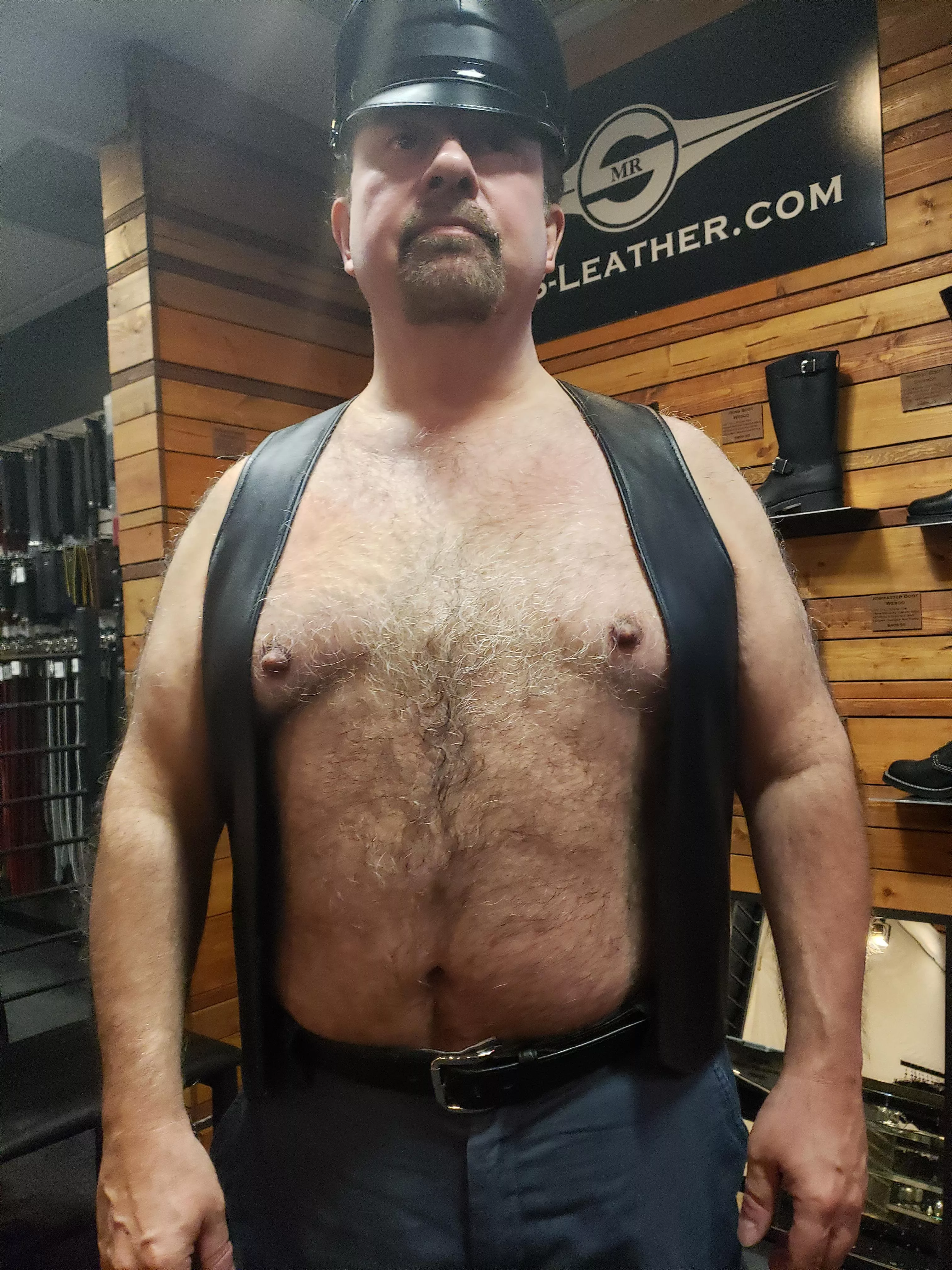 Daddy Bear [53] looking for His cub