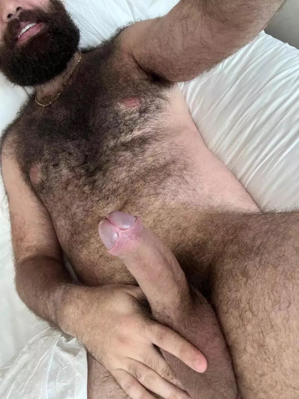 Don’t be shy, cum say hi