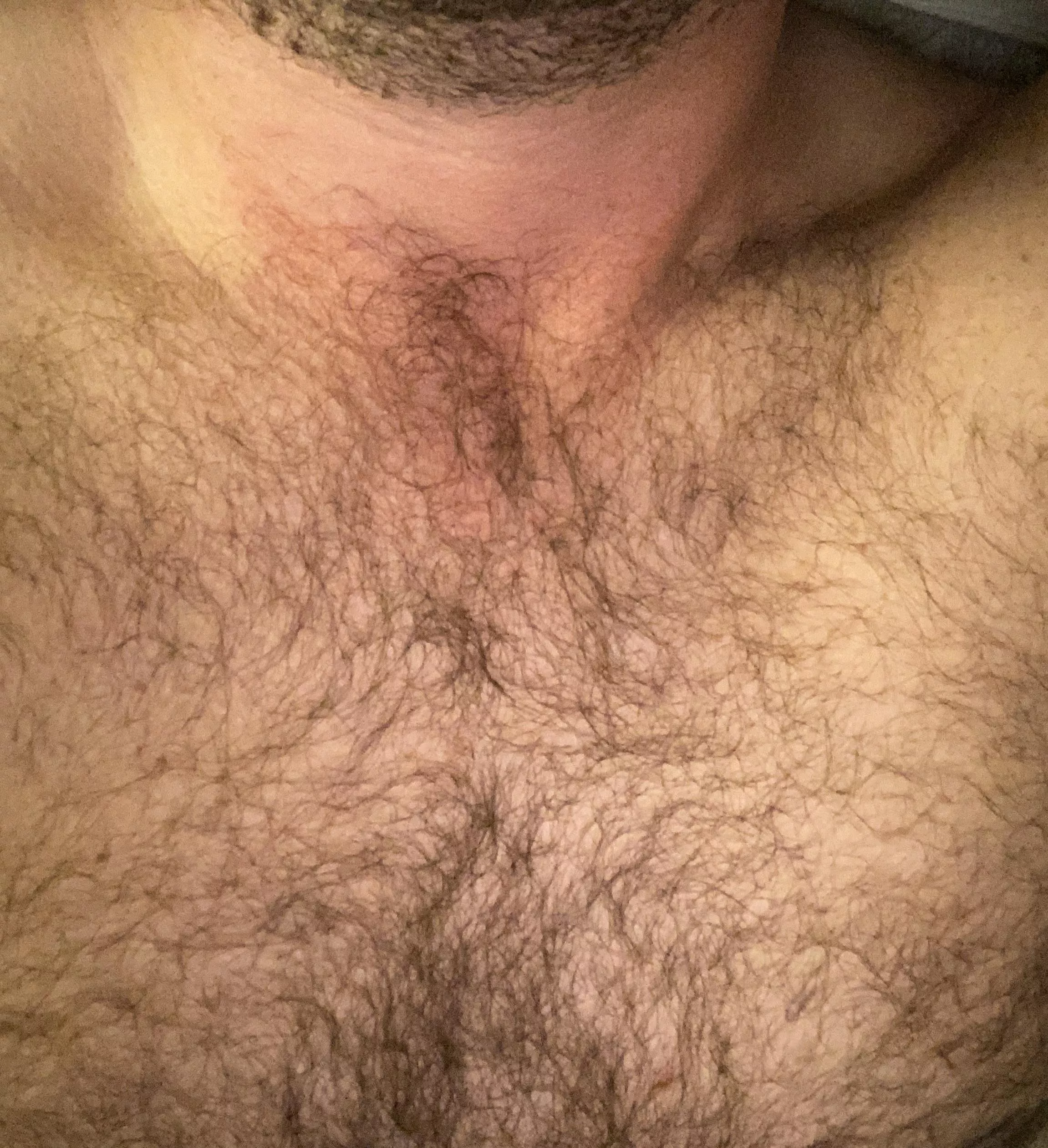 Hairy masc 30 m bro