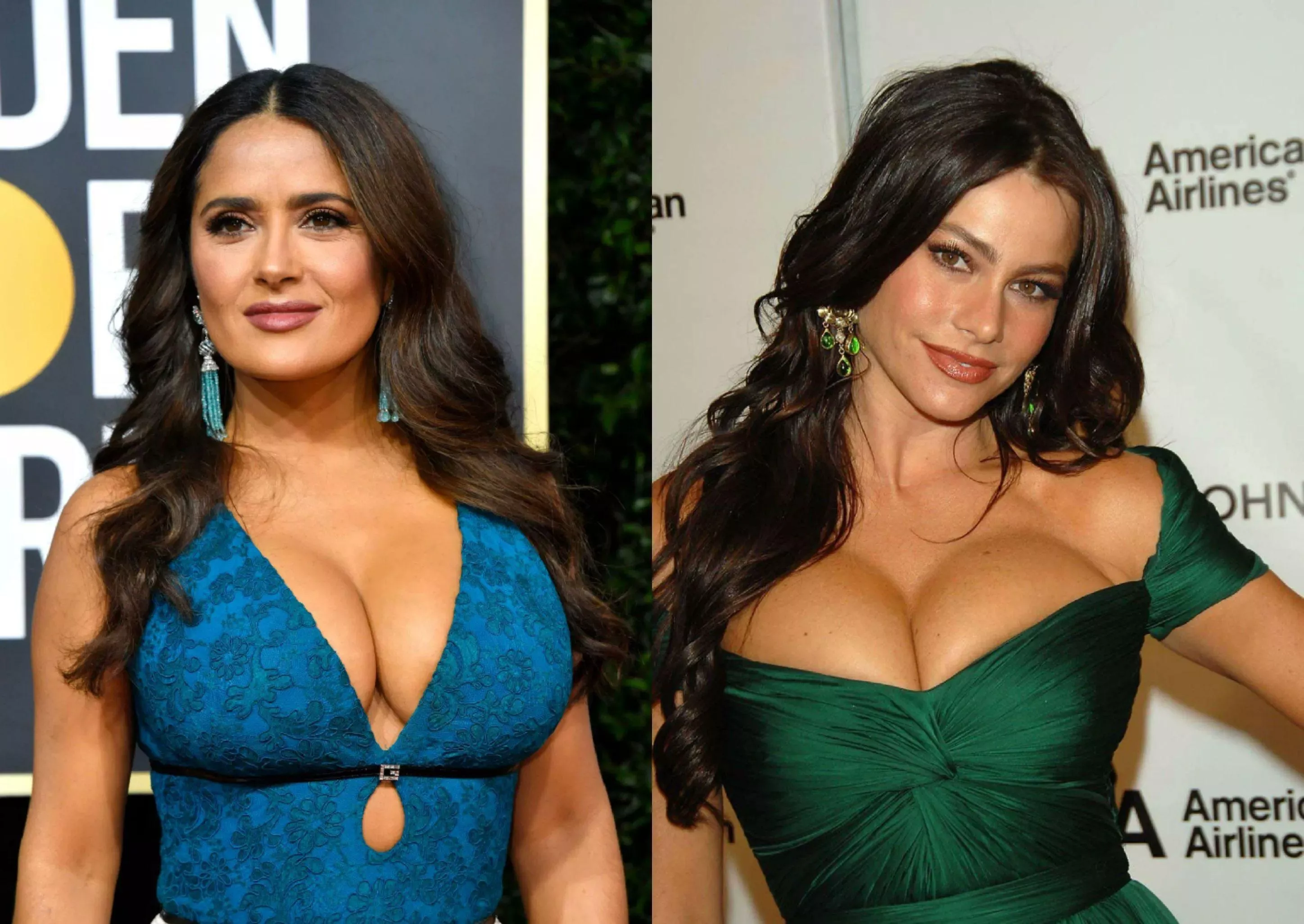 Latina Milfs, Salma Hayek or Sofia Vergara, who has the better tits? Who has bigger ones?