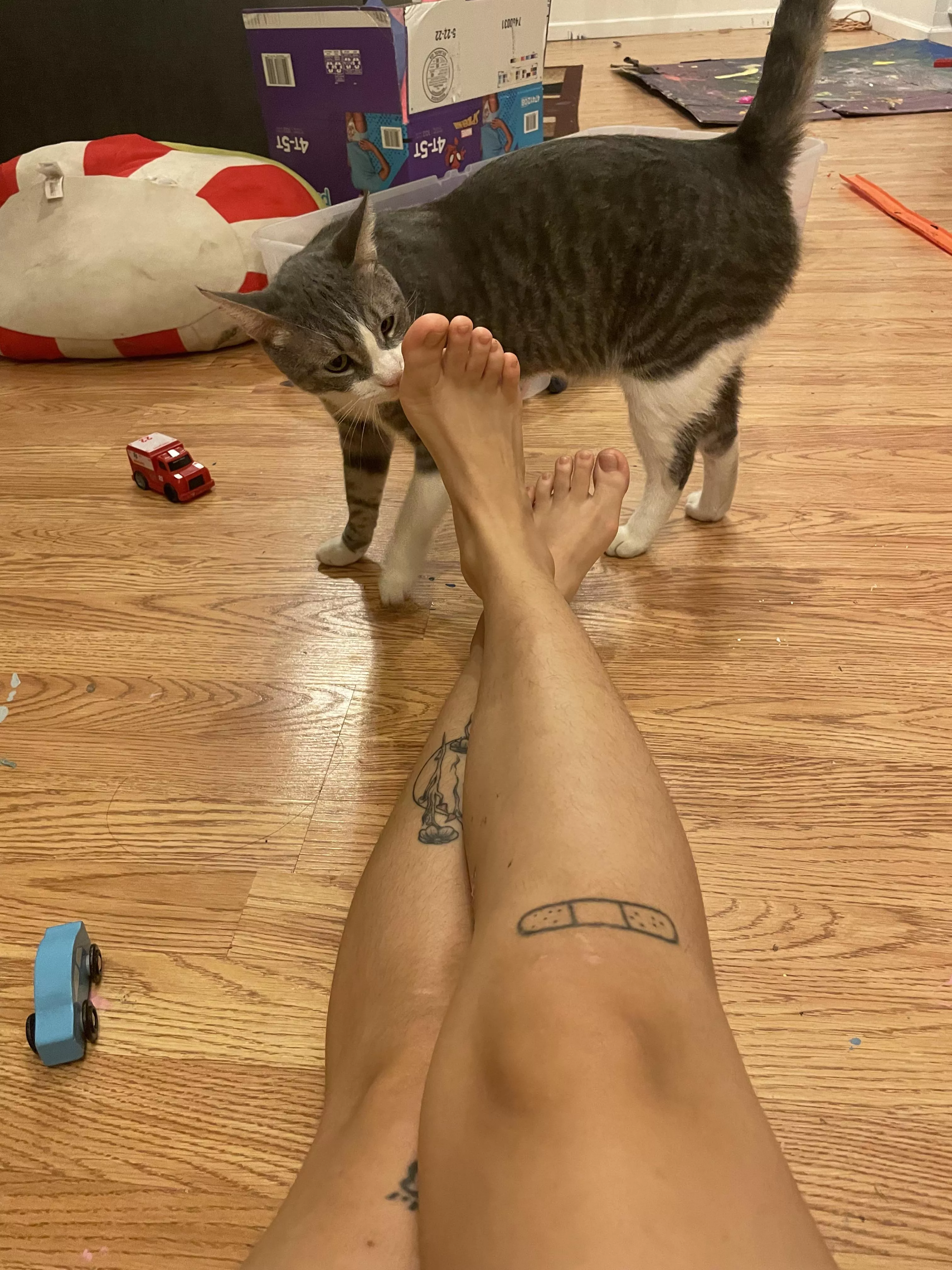 Mom feet anyone? Say hi to my kitty.. lol