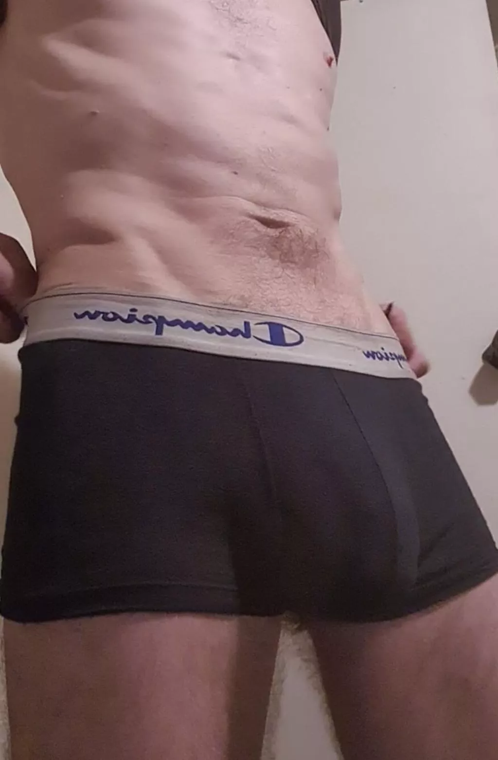 My Boxer bulge, Champion