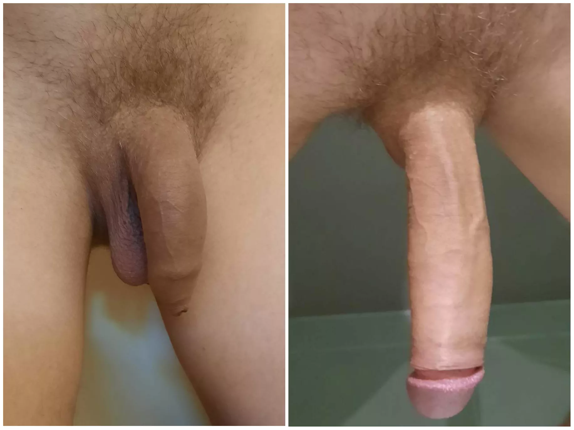 My soft and hard cock compared - How would you compare?