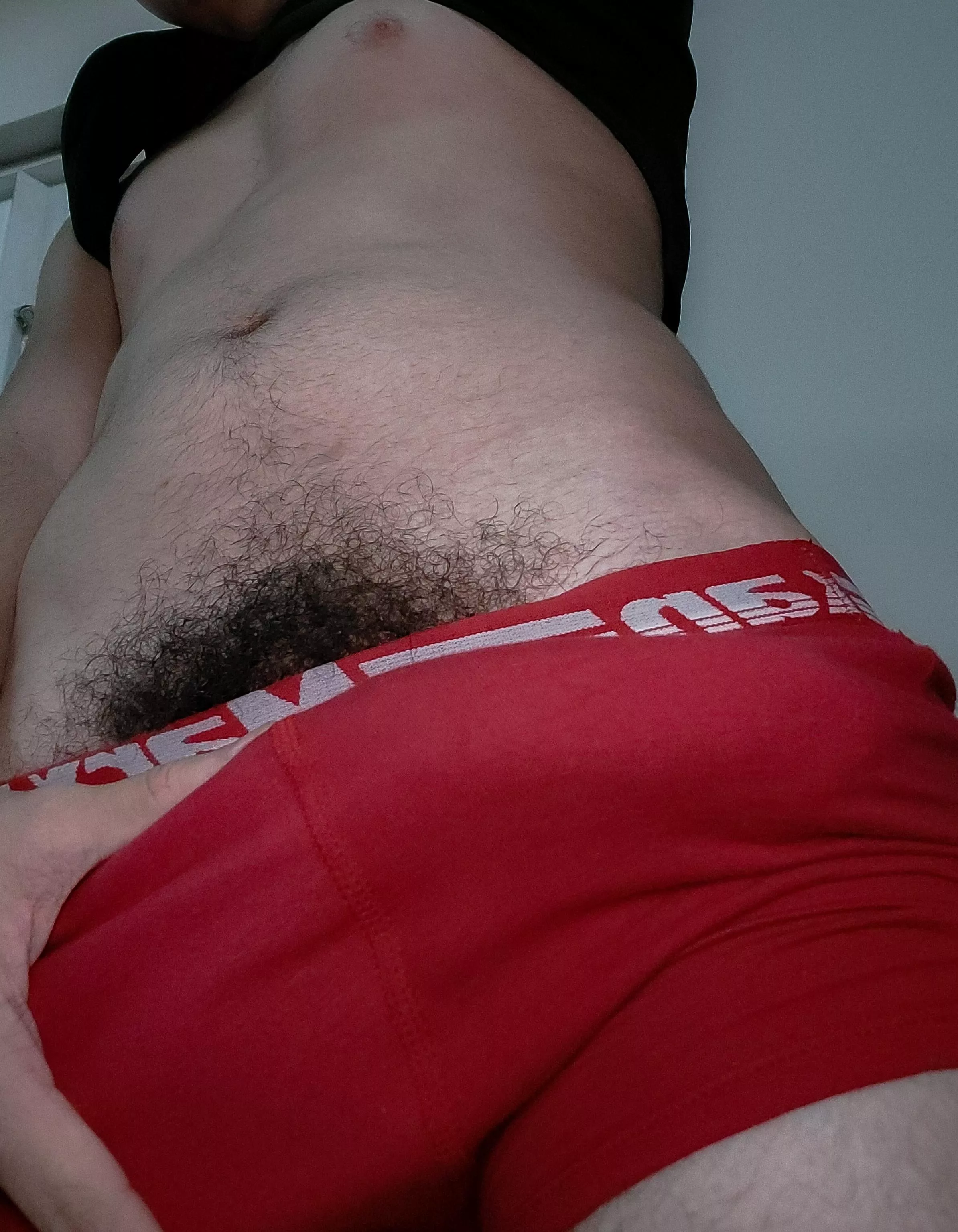 pubes & bulge