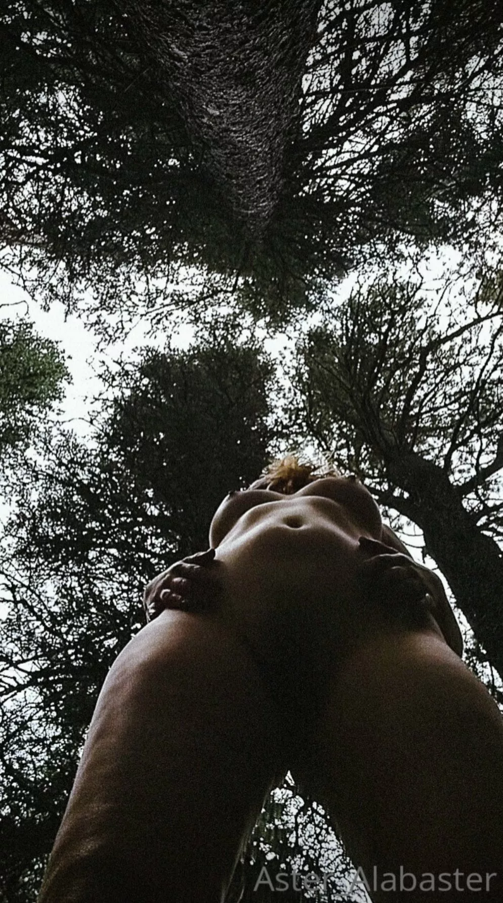 standing tall with the trees [f]