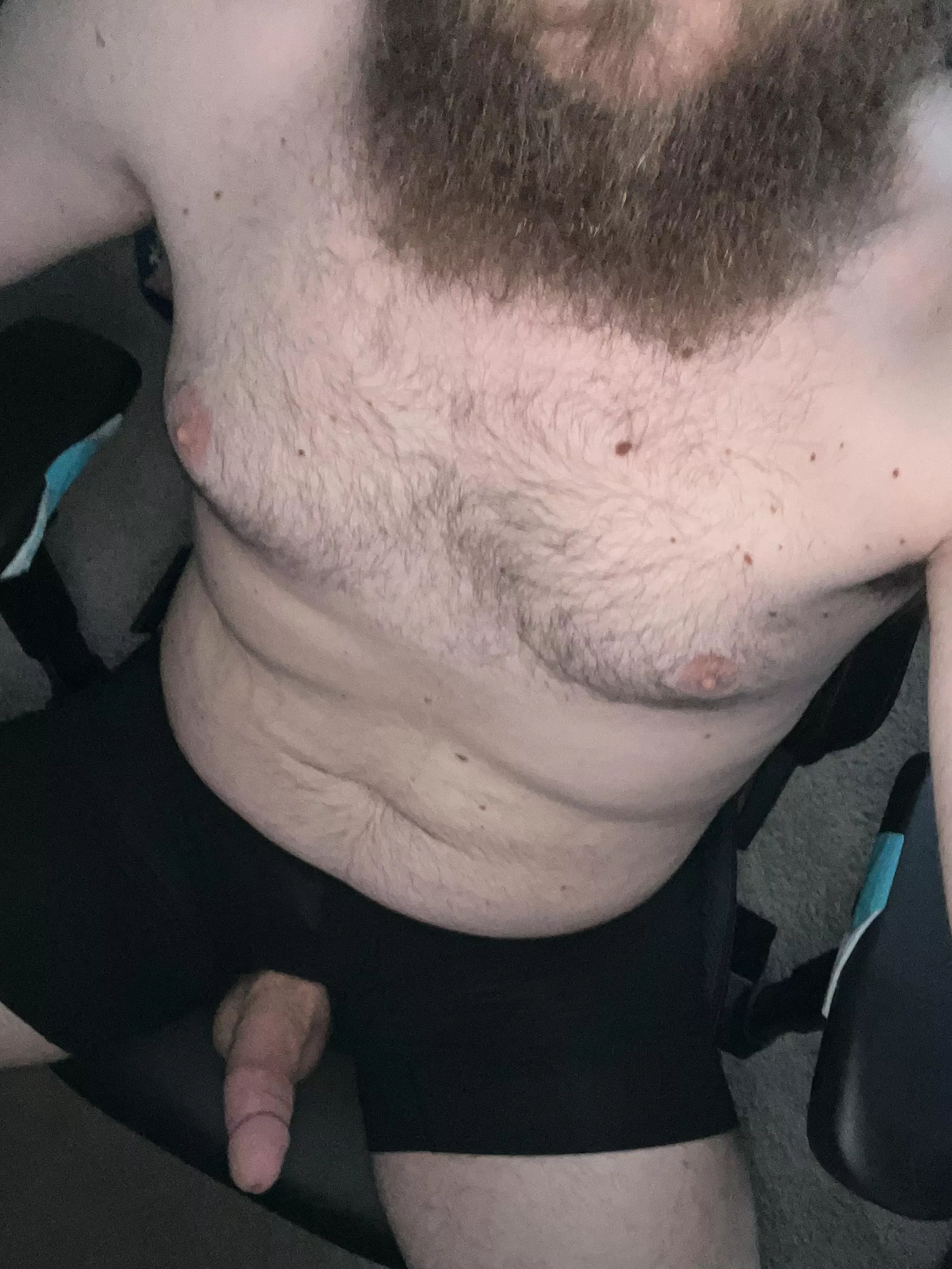 Bearded bear boner ðŸ»