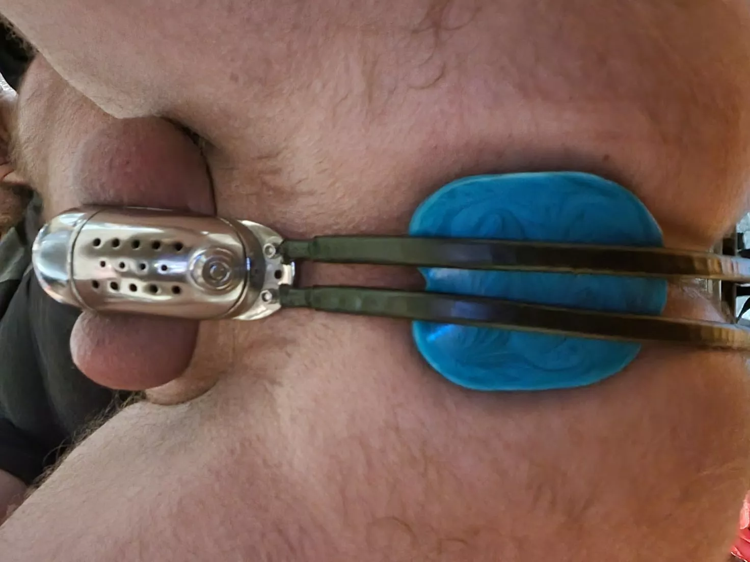 belted and plug with a horse cock