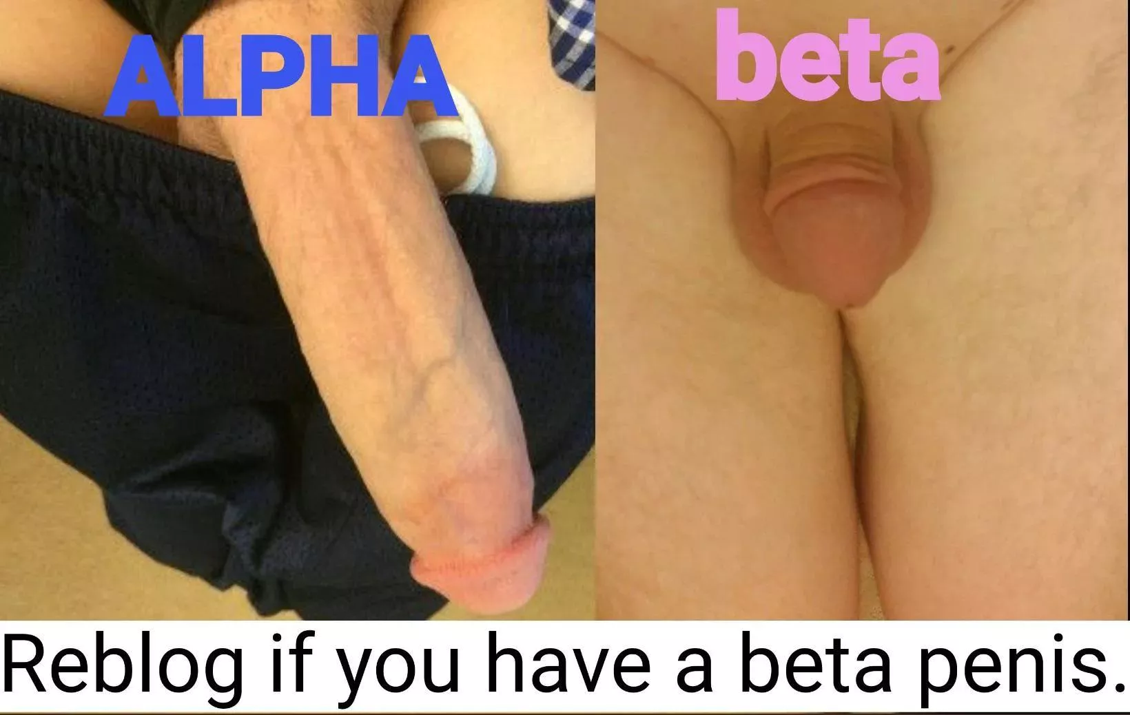 beta bi cuck post