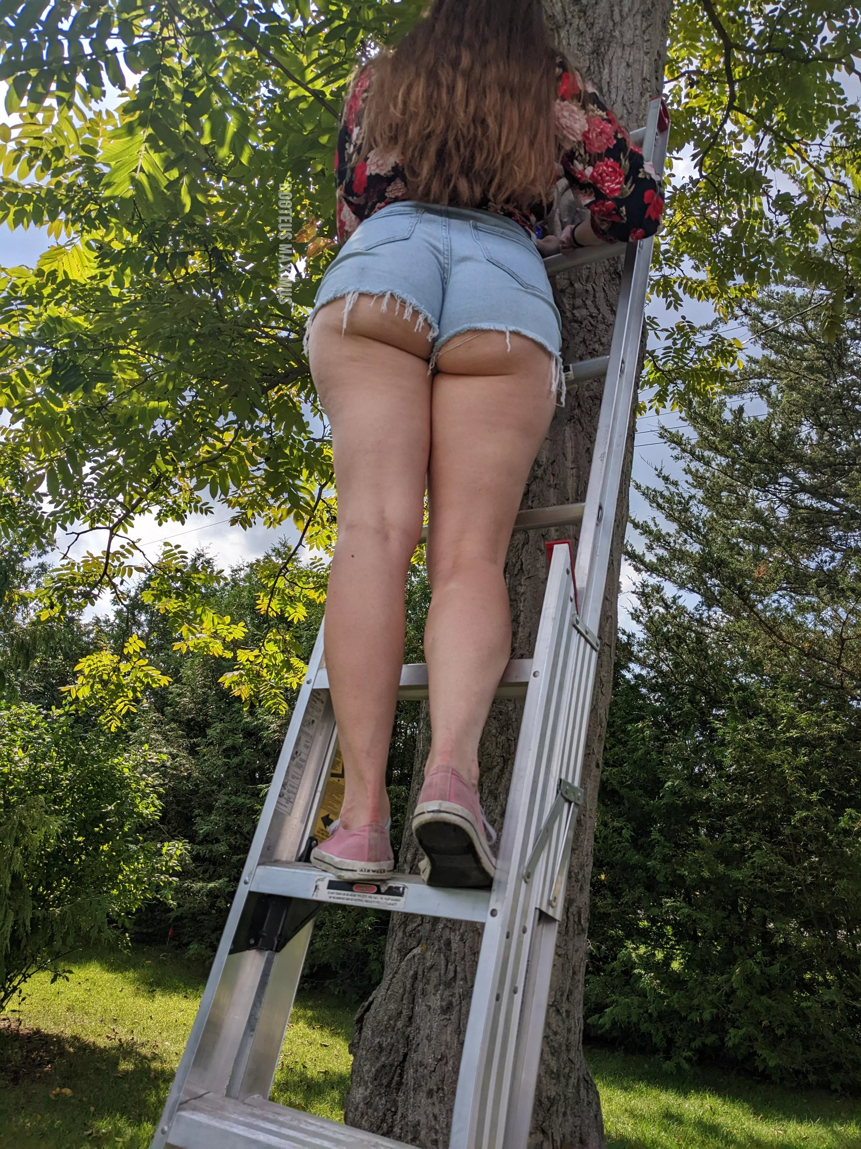 can you hold the ladder for me please