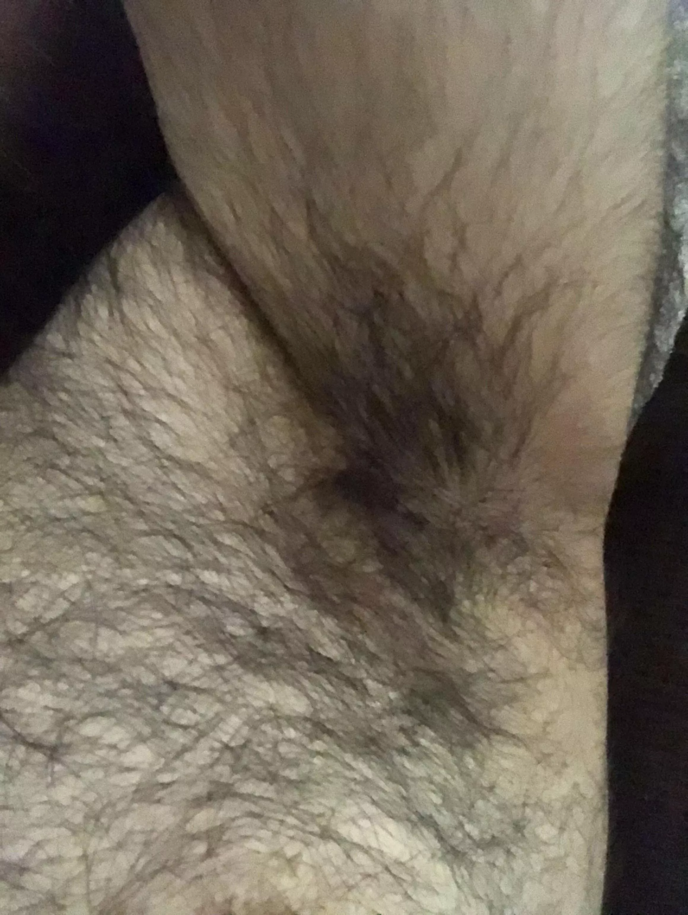 Is it hairy enough?