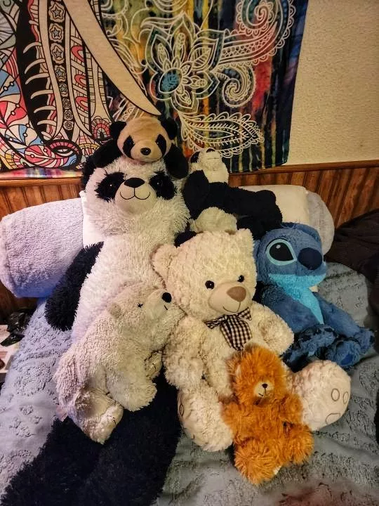 My collection of stuffies!