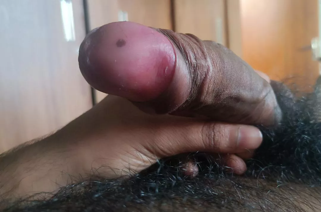 Would you suck my Uncut BBC?