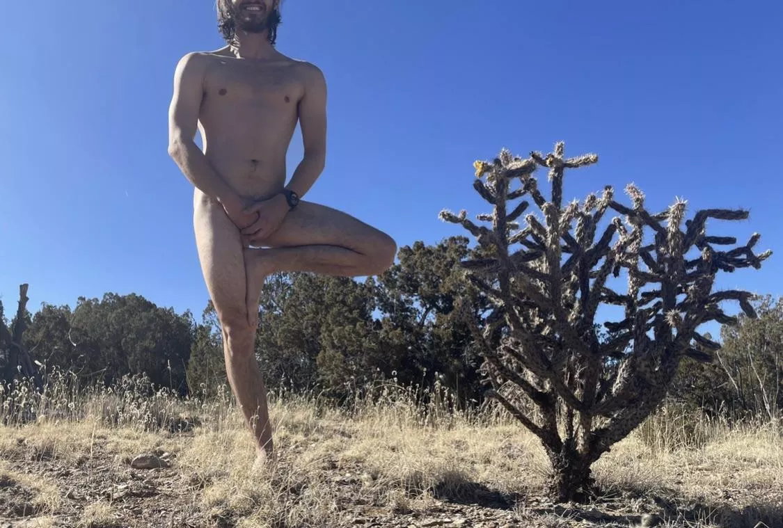 First (tree) pose here. Hope you like ðŸ™ðŸ¼