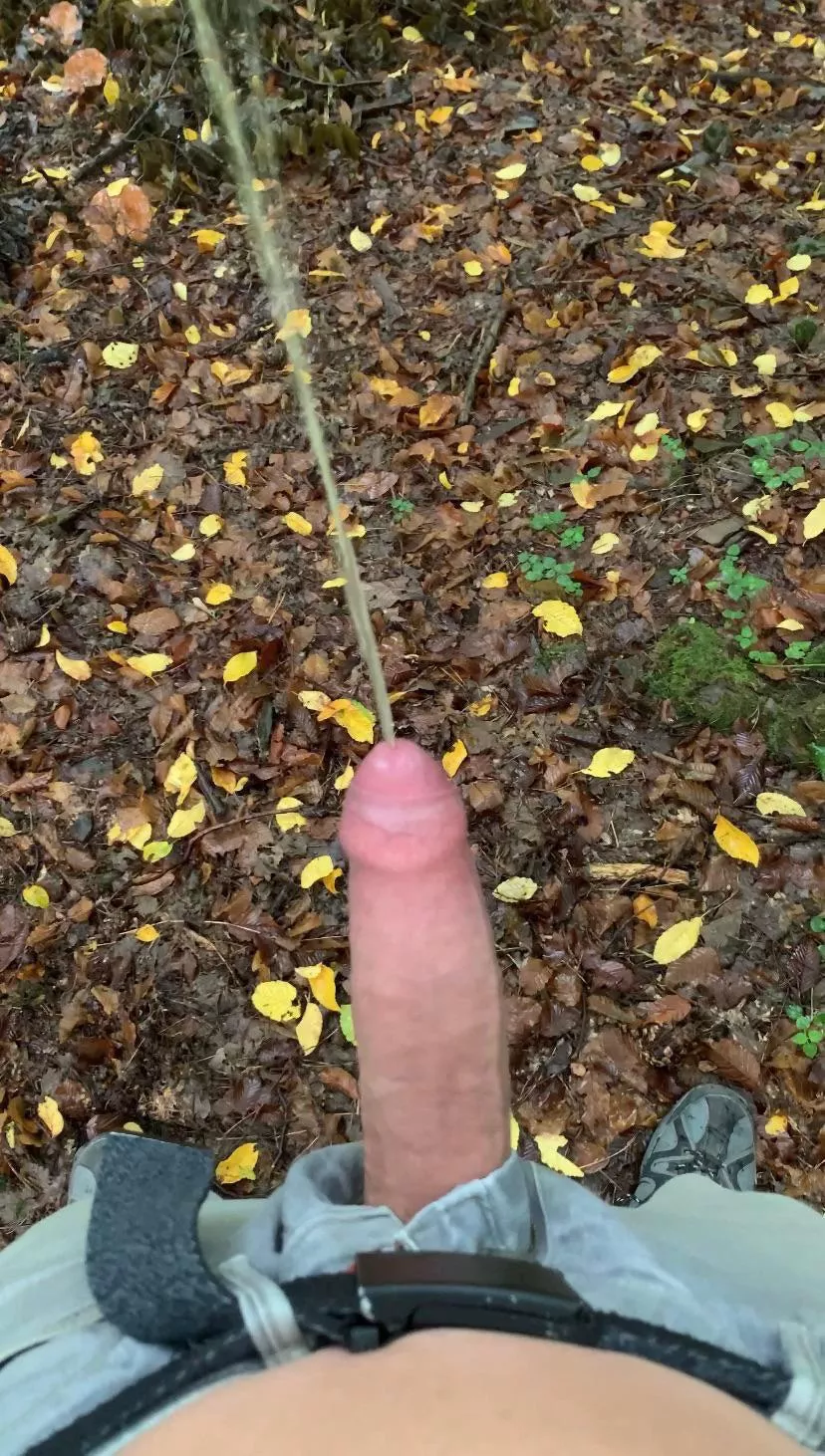 In a forest someone saw meðŸ˜‹ Any piss lovers here? Hmu in dms, please 18 to 35 max