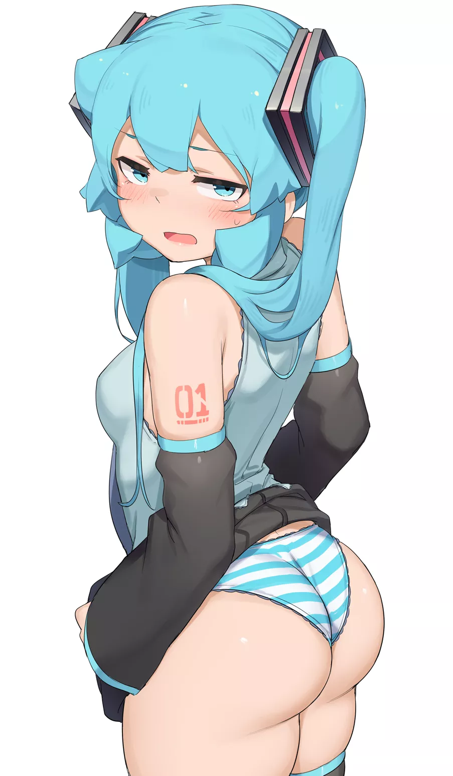 Miku has a nice ass.