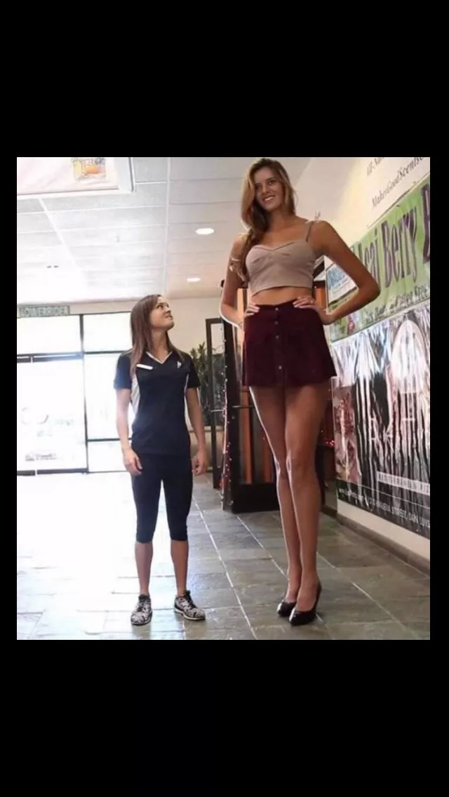 6'4