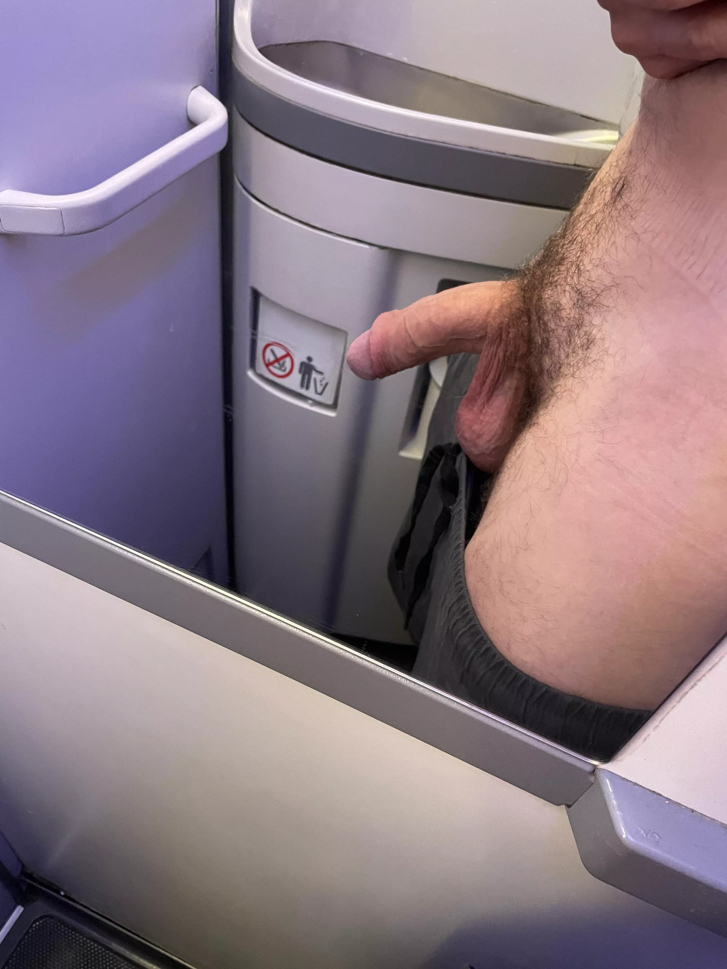 Airplane dick