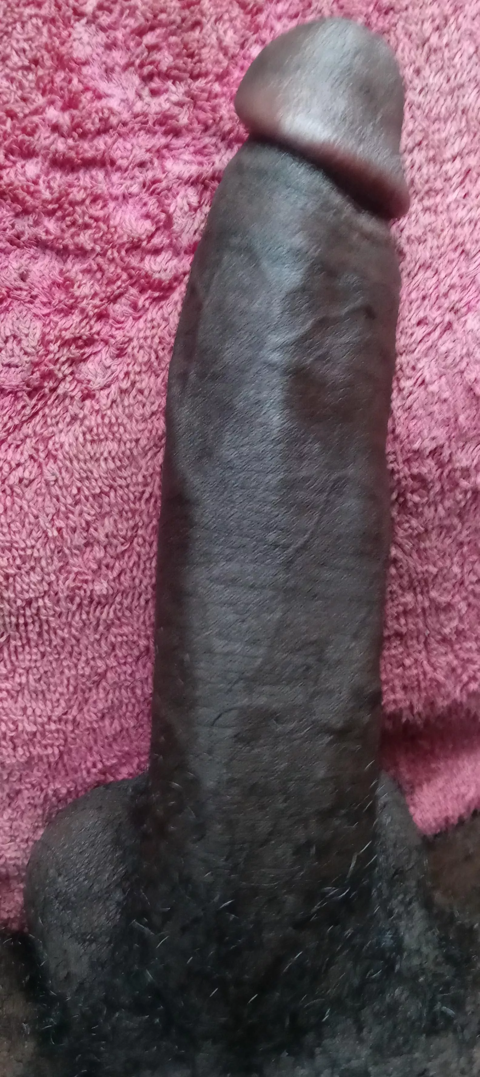 Big Black Cock