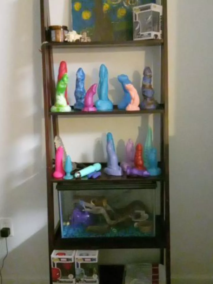 gotta love our new shelf