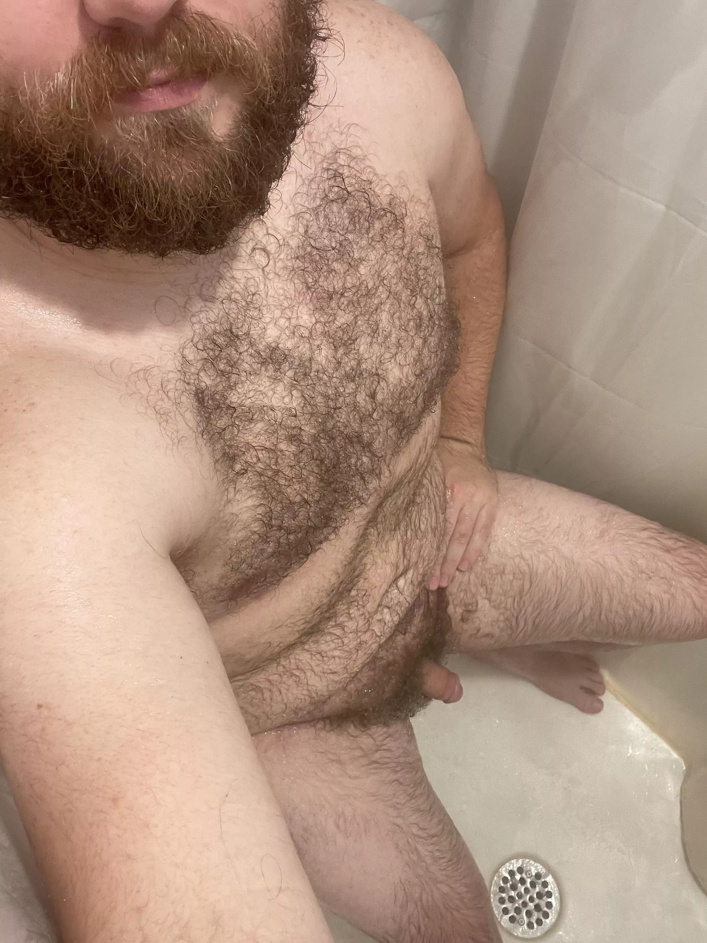 M31. 5â€™9â€ 230. Trying to gain some confidence in my body. Use to hate being a grower but starting to like it