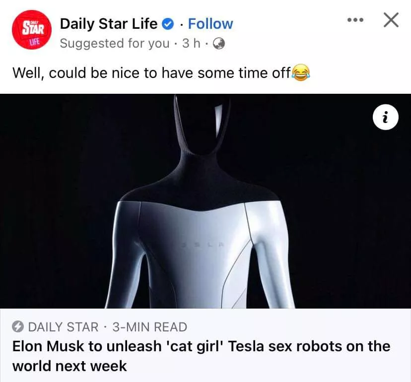 Is this confirmed? Tesla cat girl sex robots?