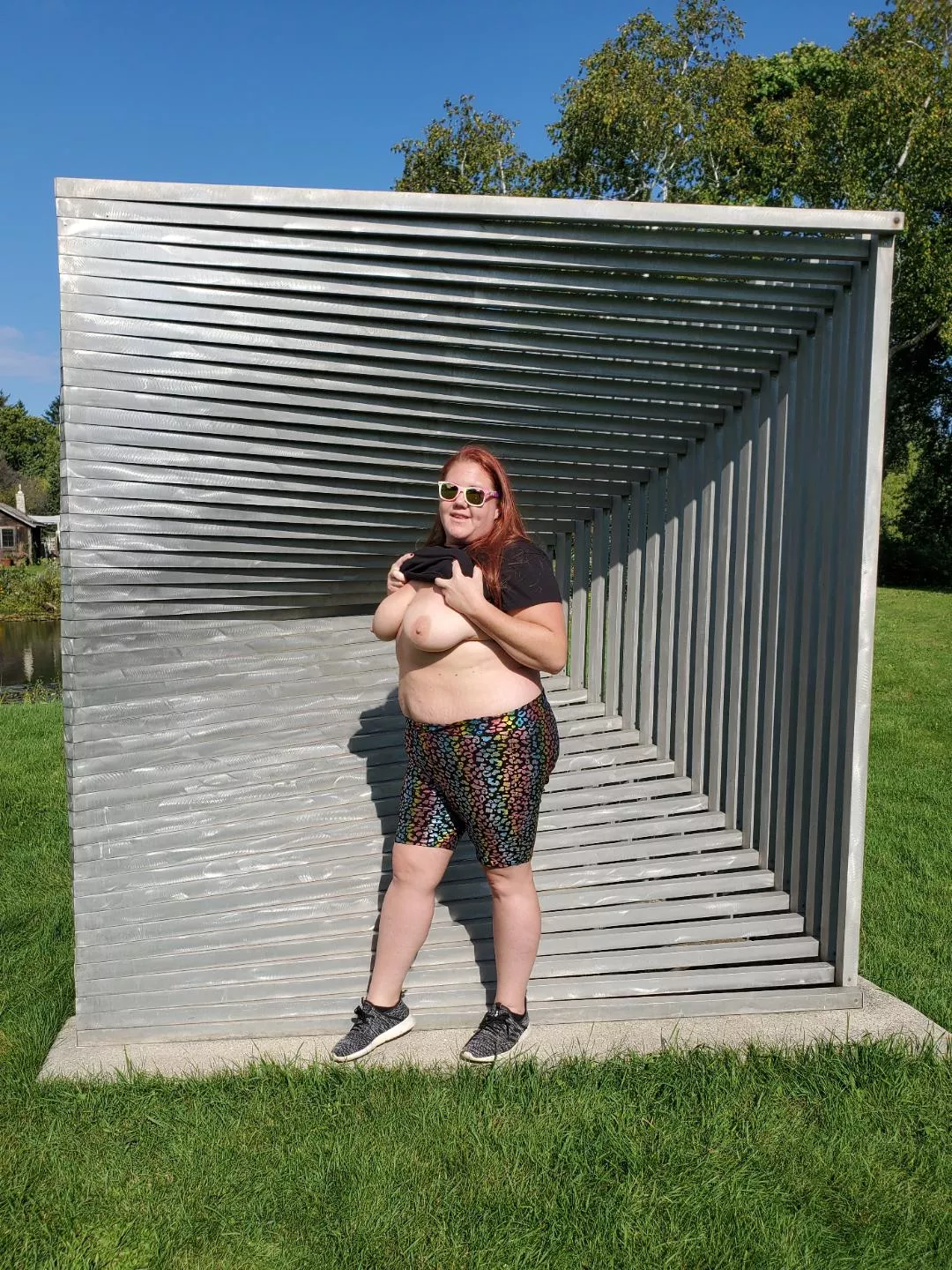 some outdoor titties at the sculpture park