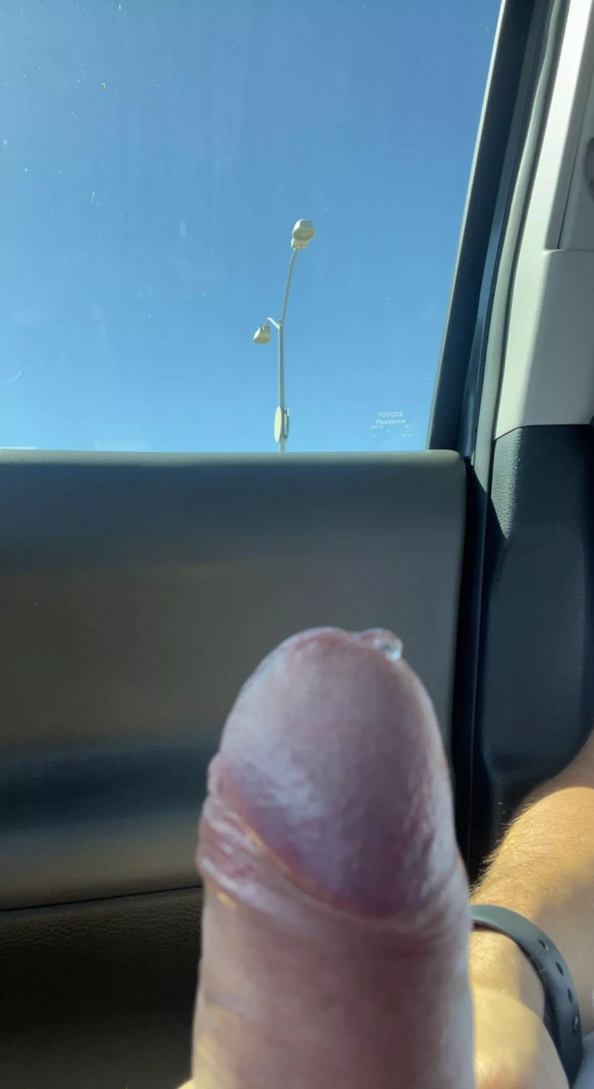 got horny in the car