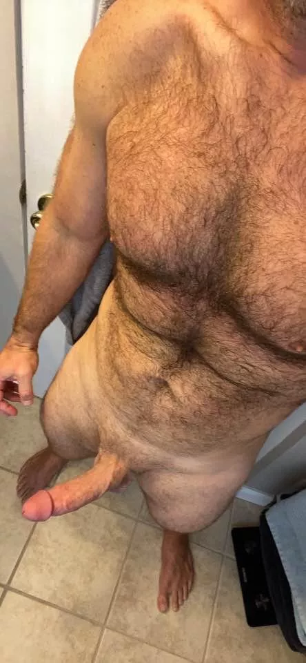 (41) daddyâ€™s back