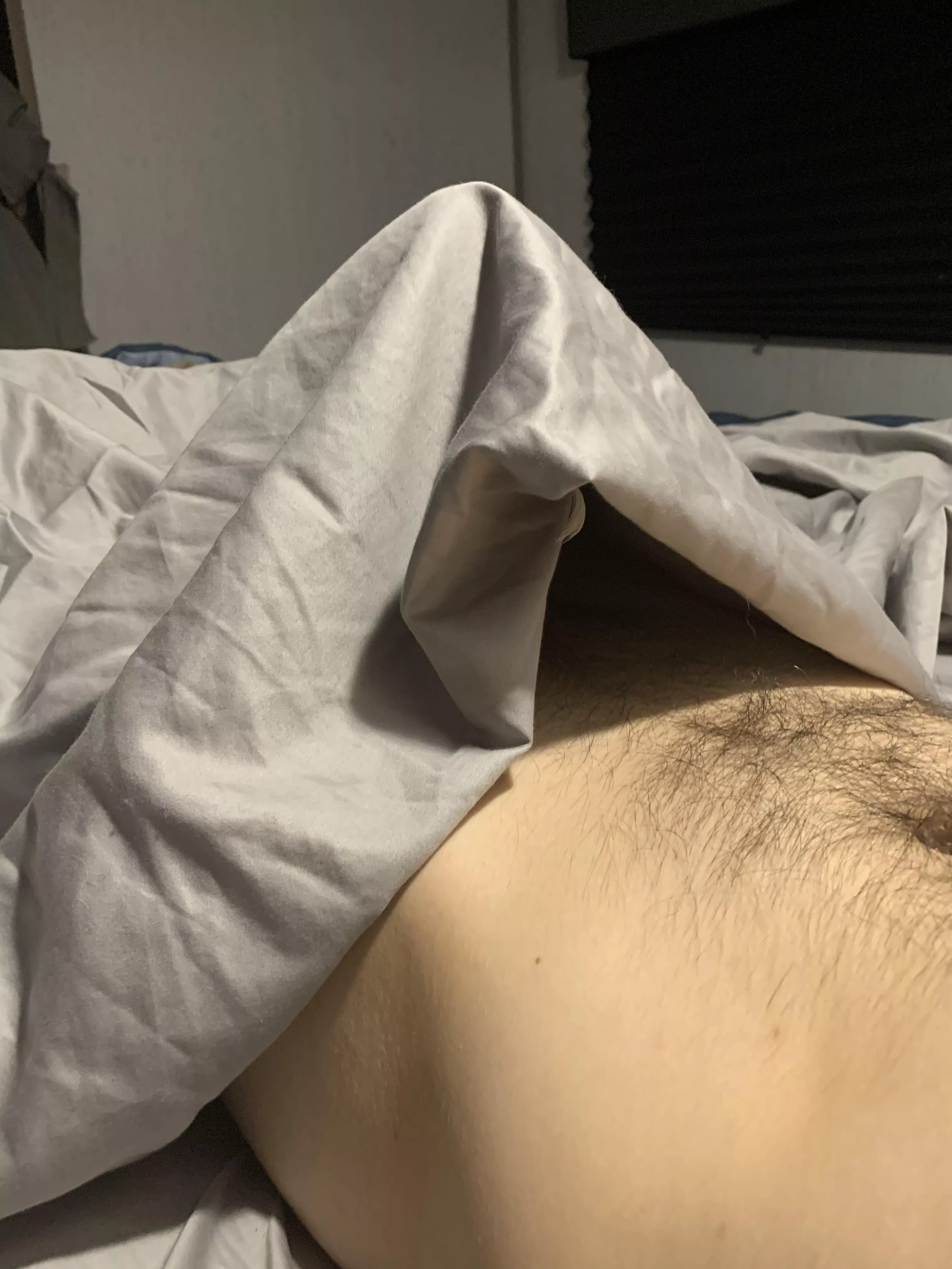 How about a morning wood bulge?