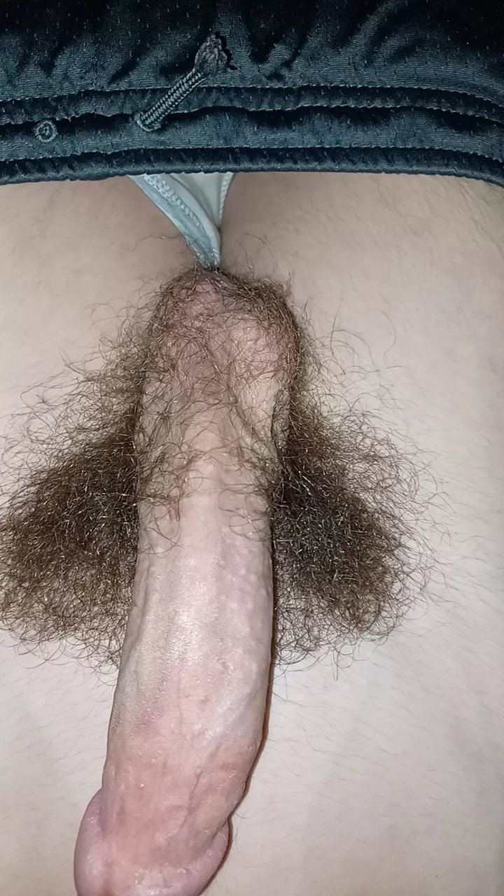 rate, dms open