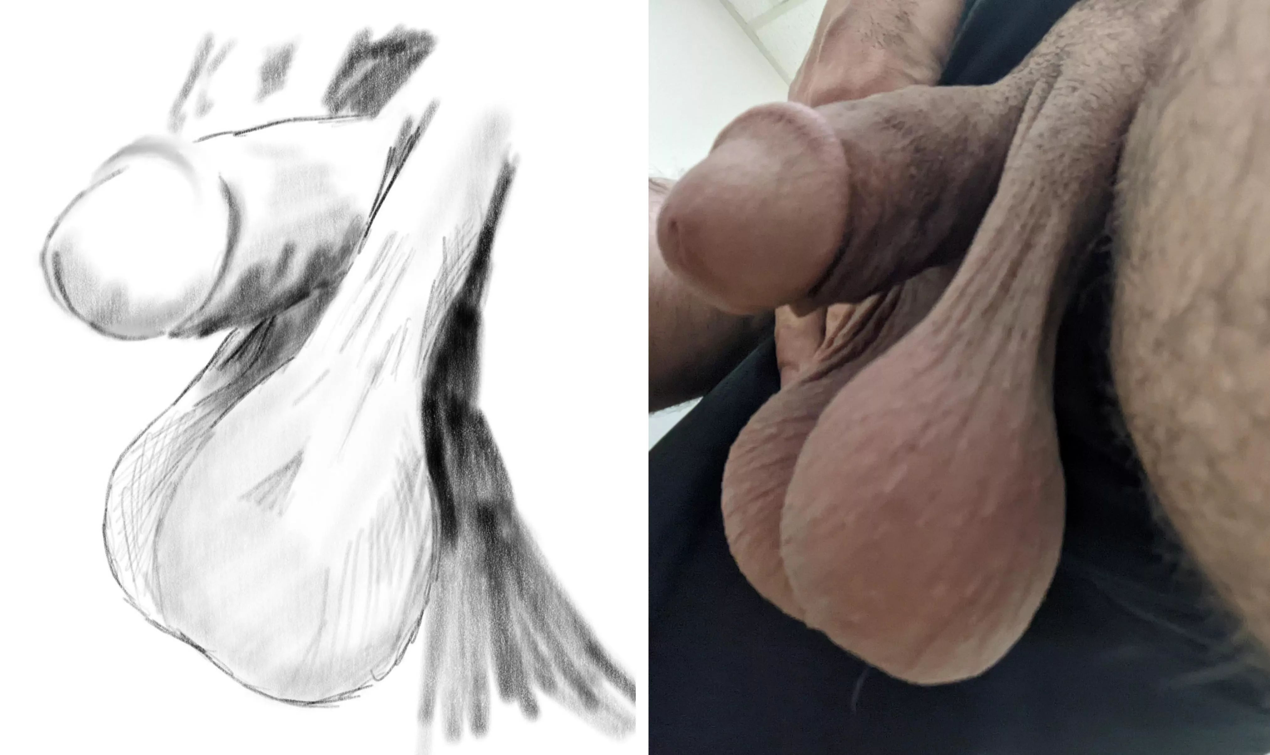 And anonymous redditor sketched my balls!! And it looks amazing!!