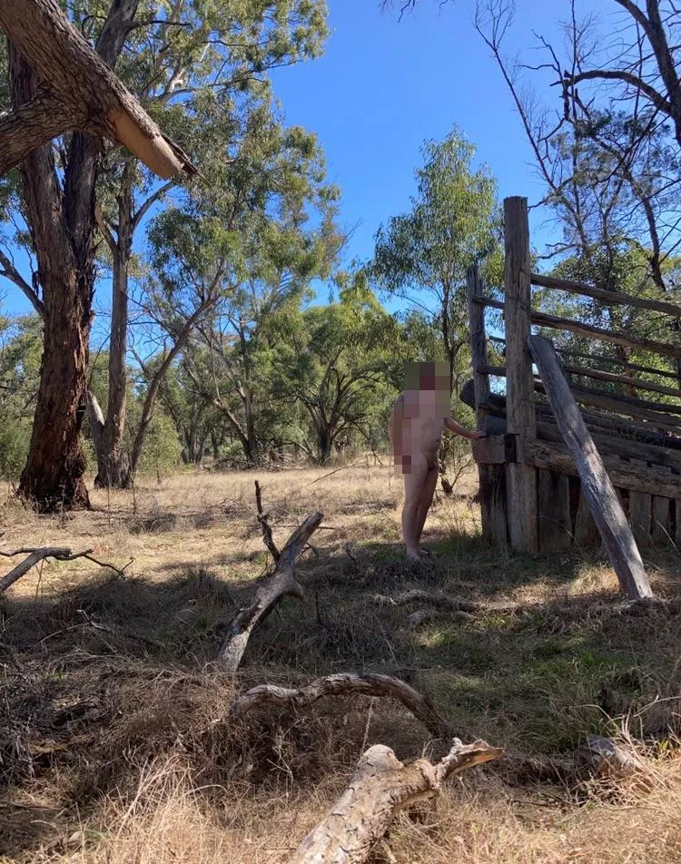 Checking out the cattle ramp