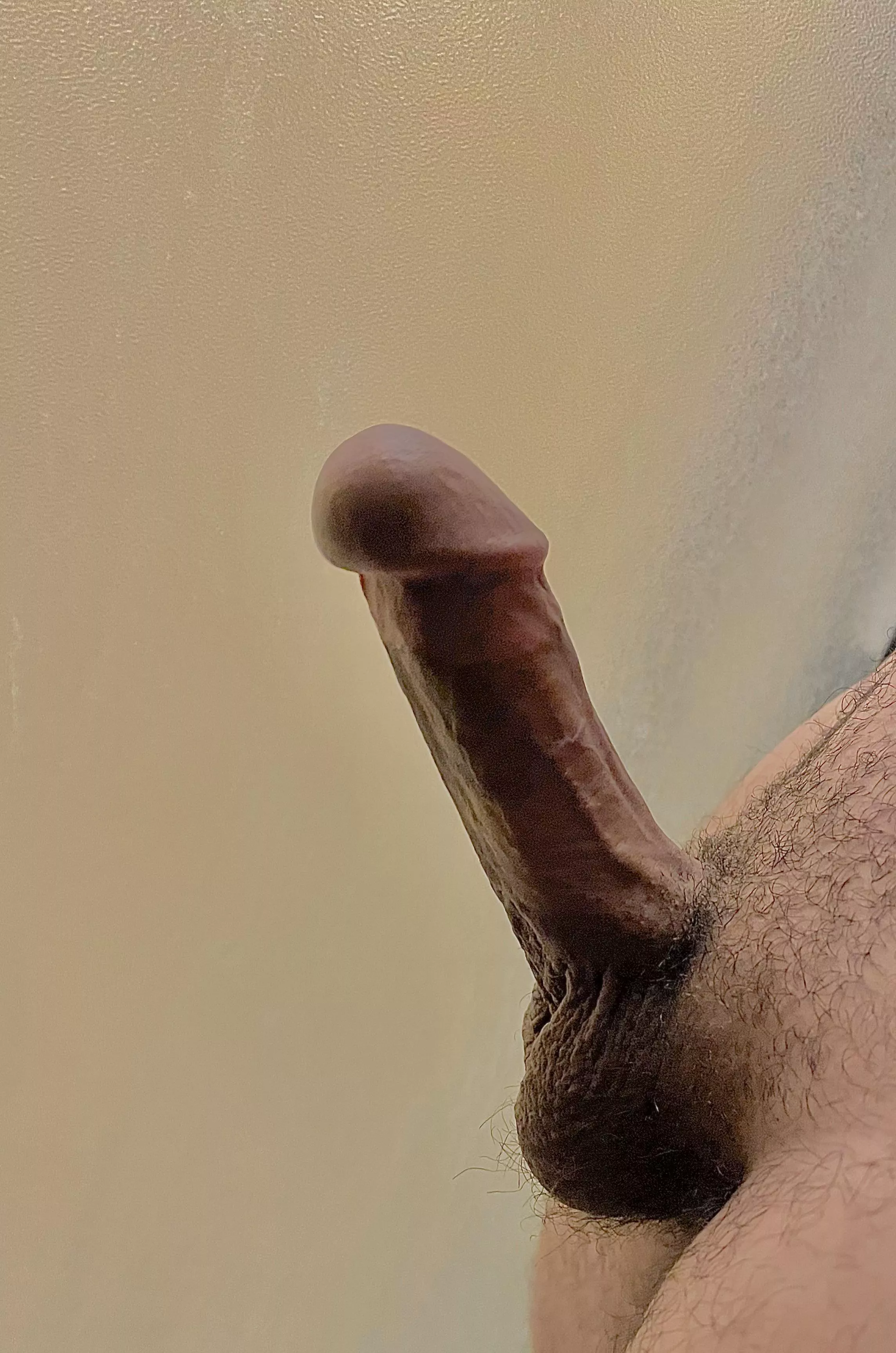 My cut cock wants your attention, in fact it needs it!