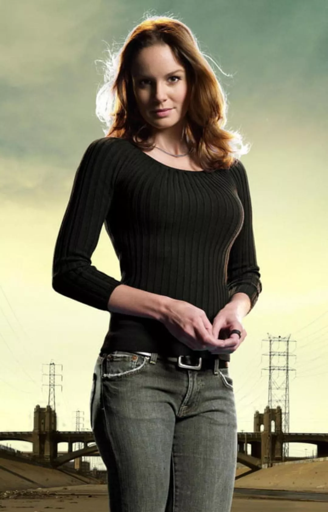 Sarah Wayne Callies