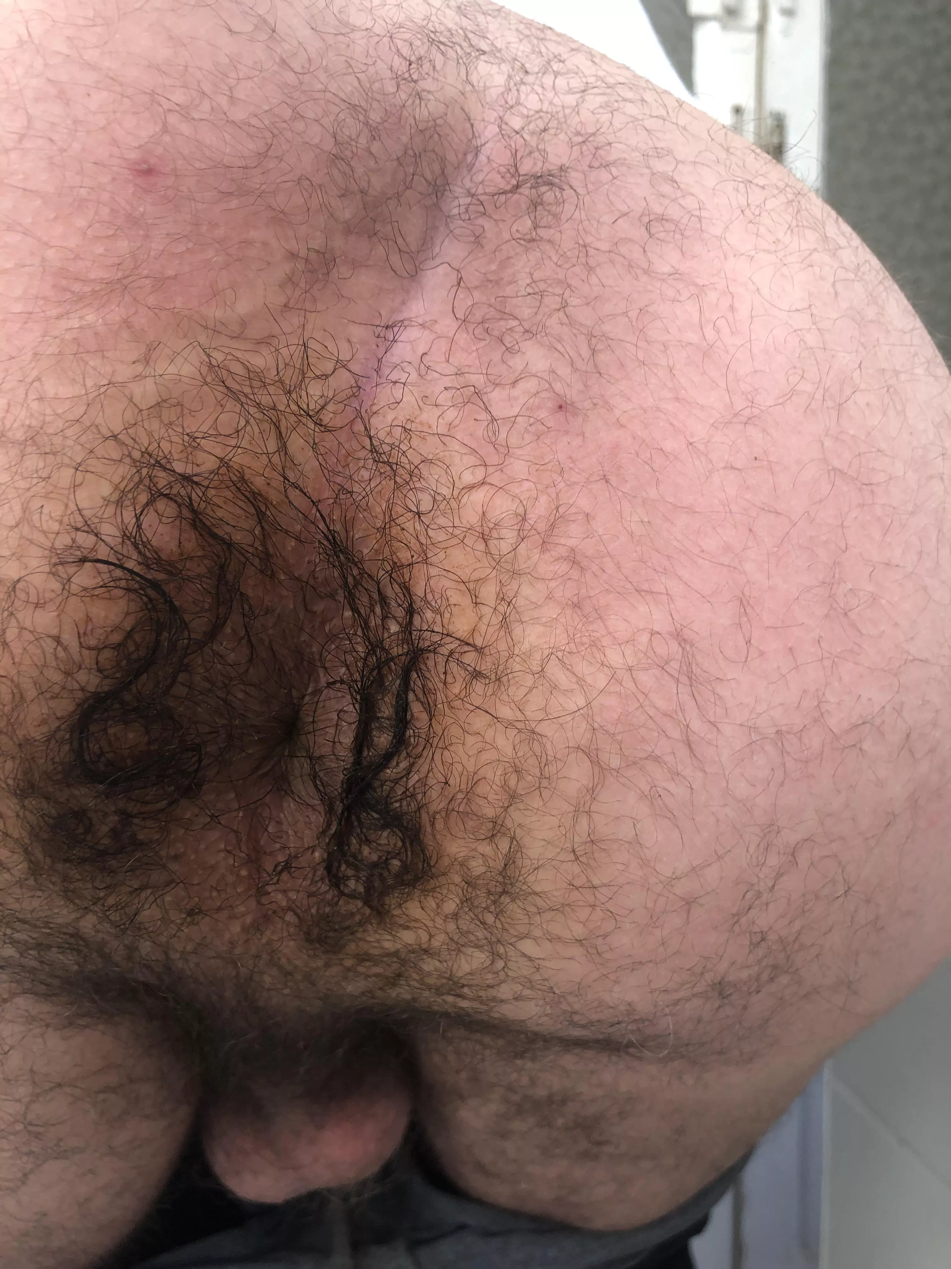 Hereâ€™s my hairy hole for you