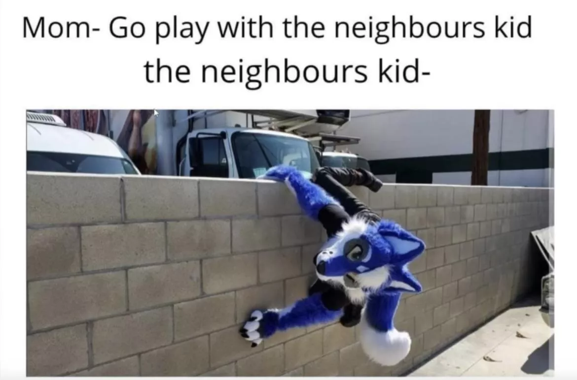 POV the neighbors kid