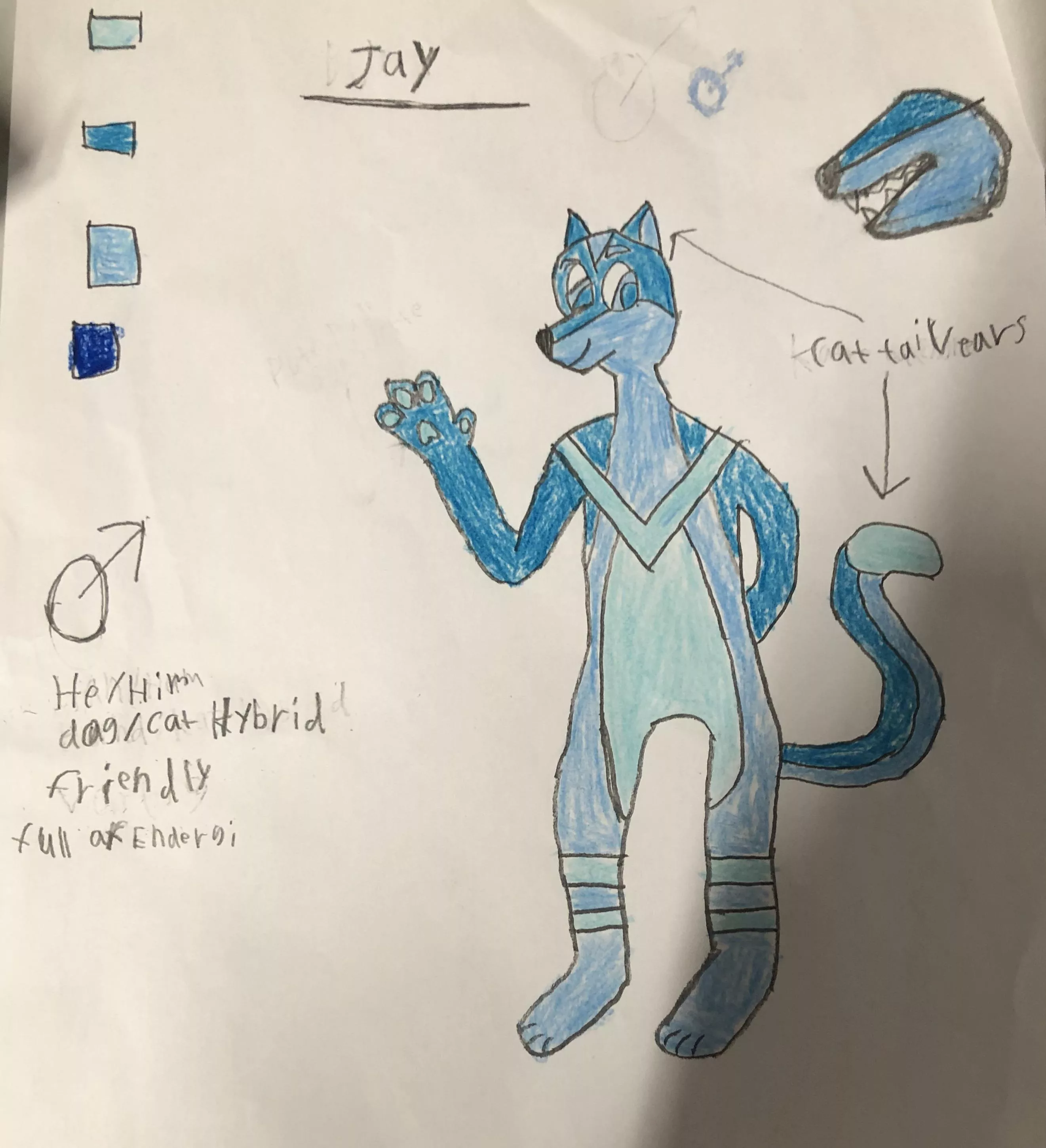 This is my first fursona What do u Think