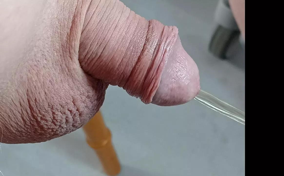 cold day small pissy cock