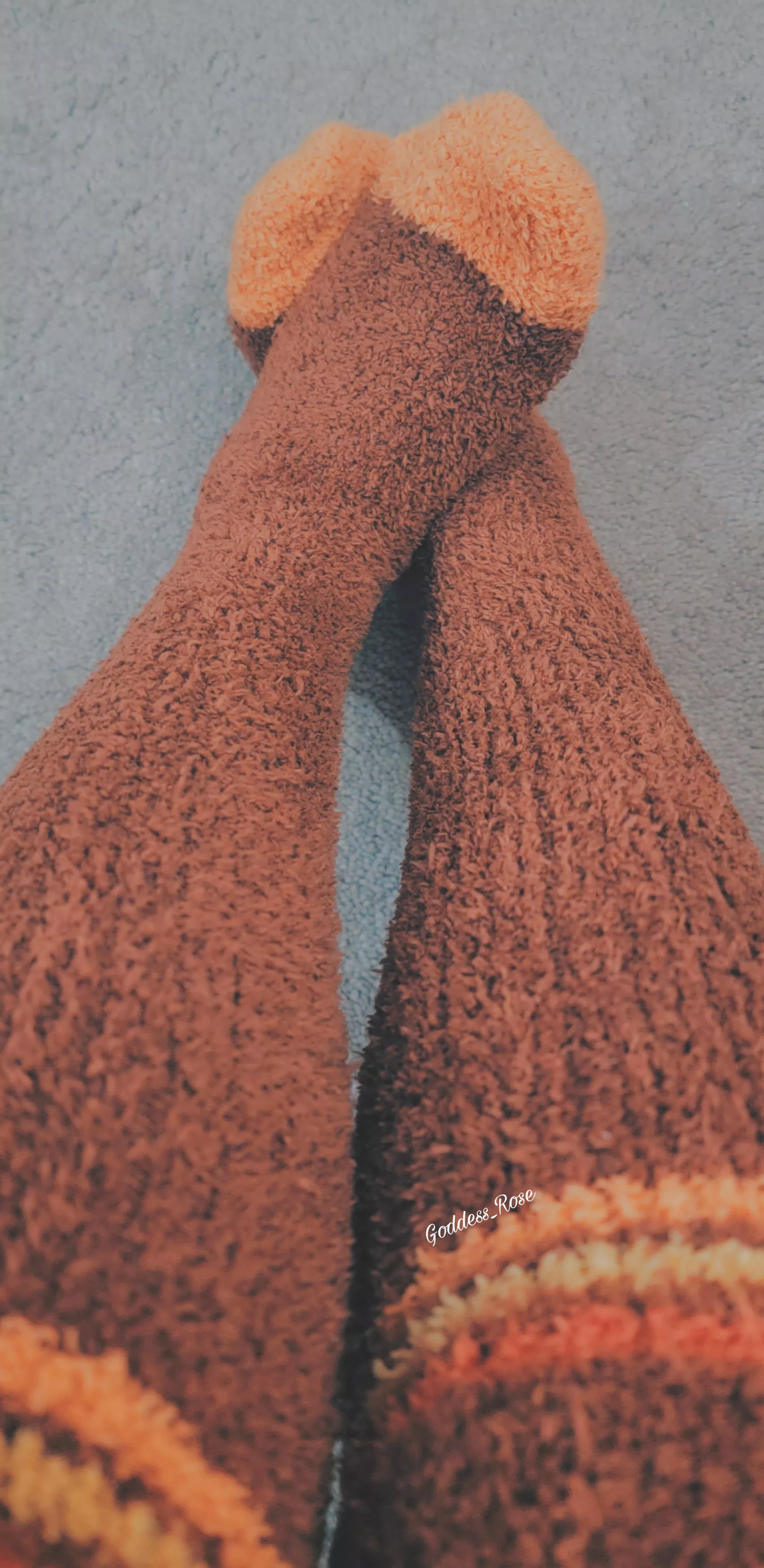 Fall socks are out!