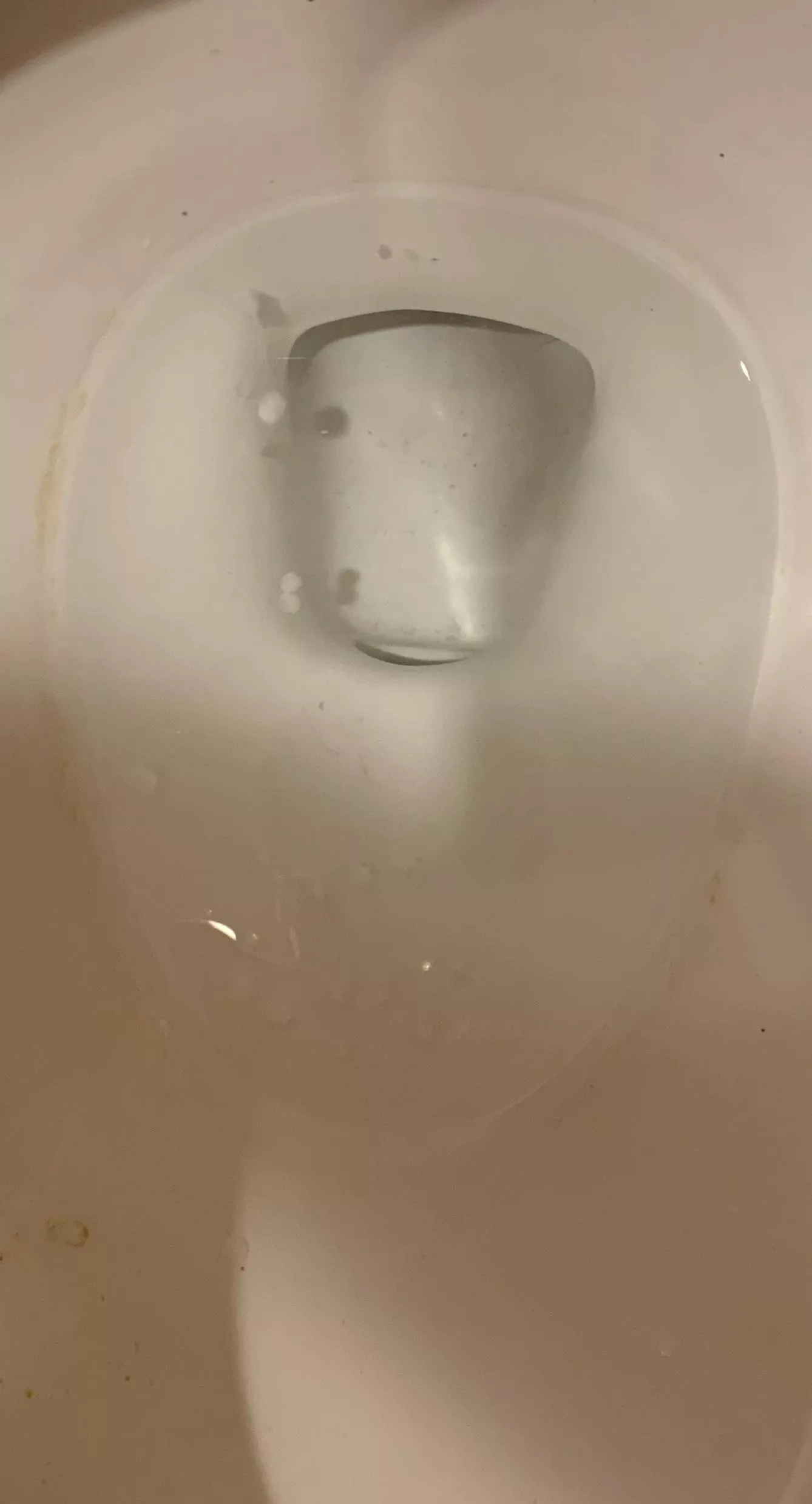 Squirt cum in the toilet