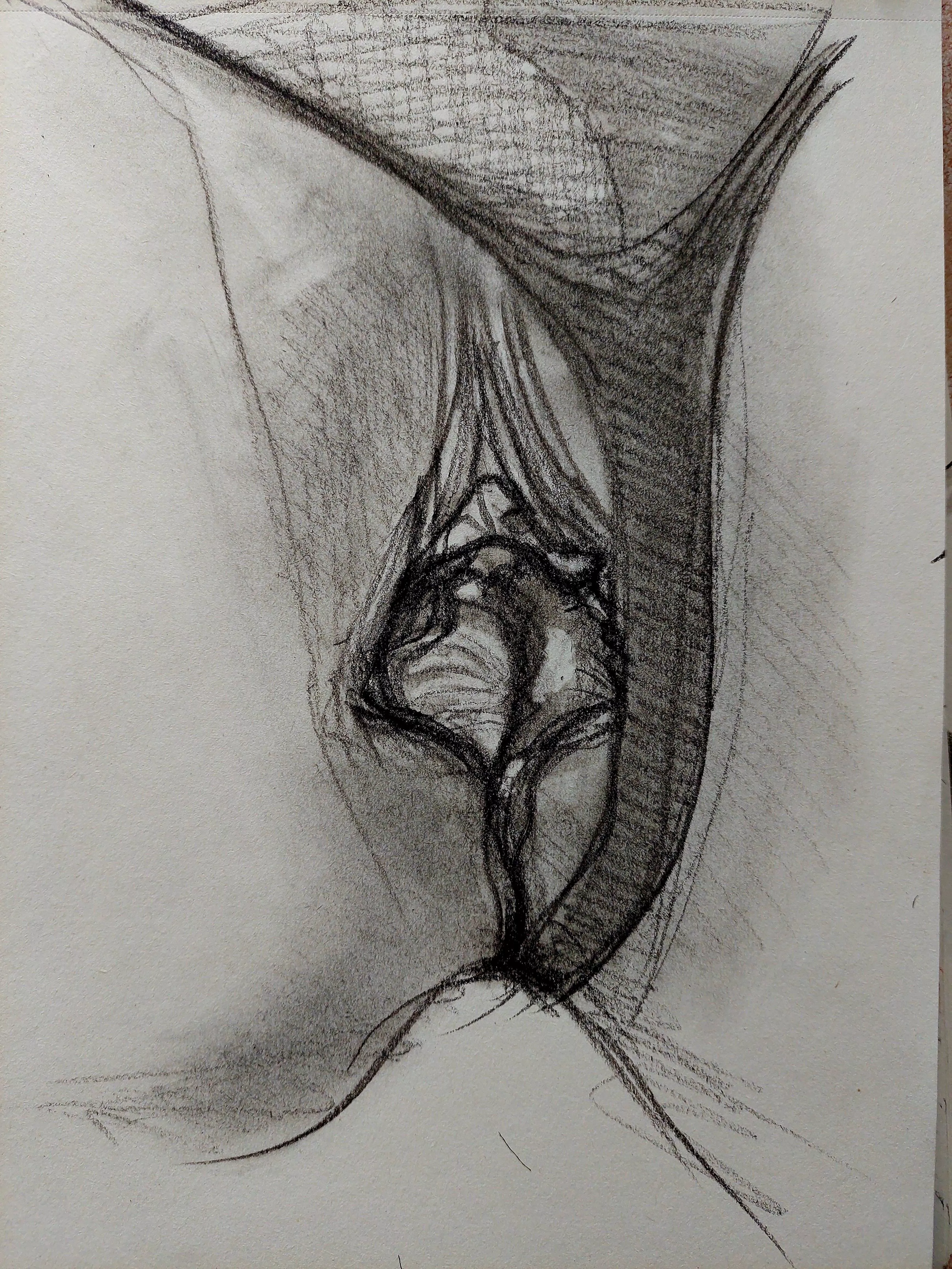 Taboo Petals (charcoal, reference in comment)