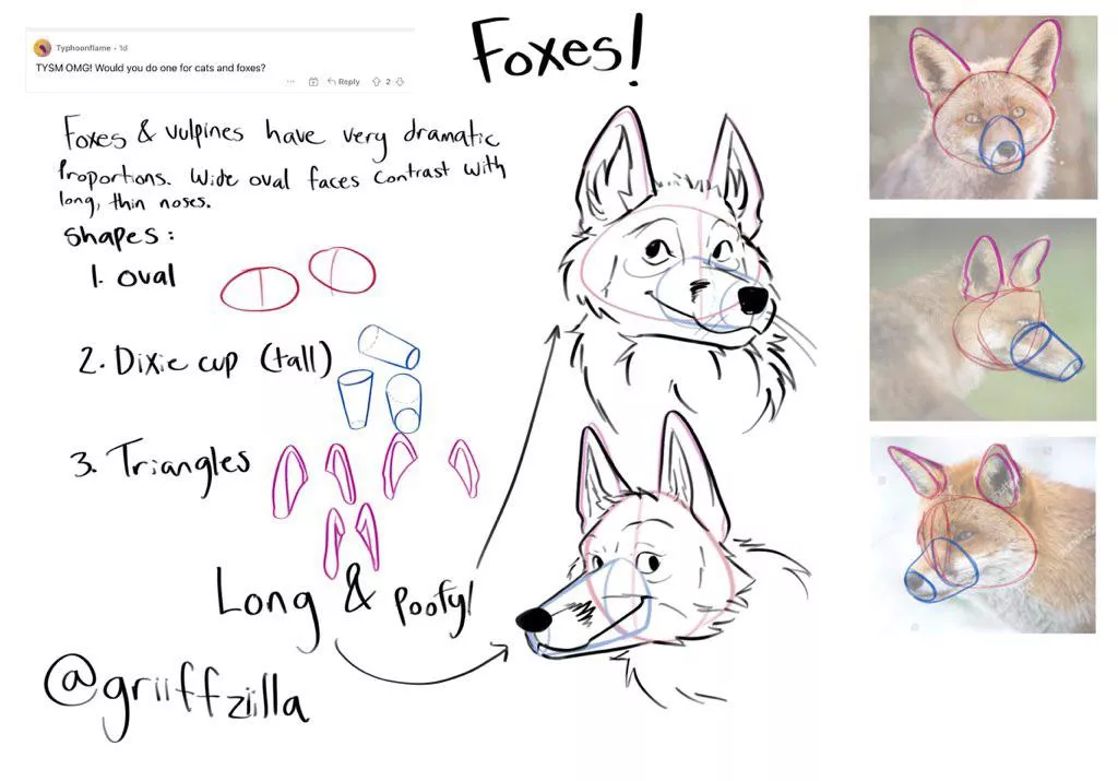 another guide! this time on how to draw foxes. will repost my cat one soon. (art by me)