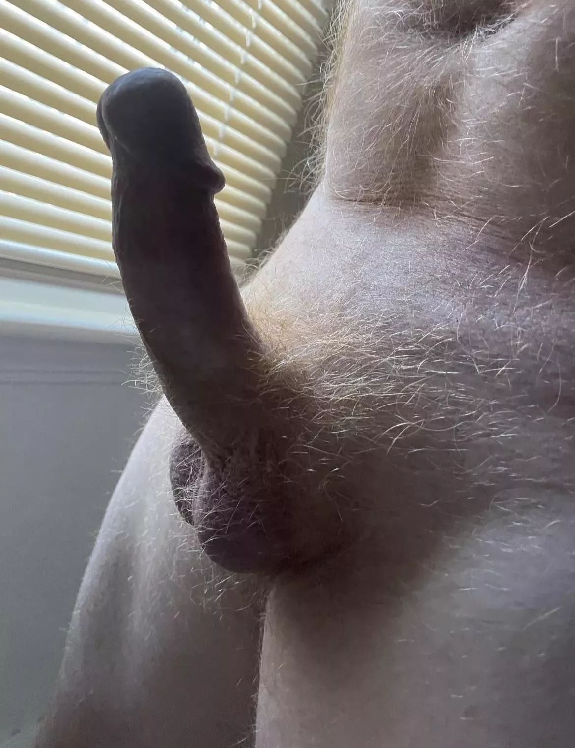 Ginger pubes