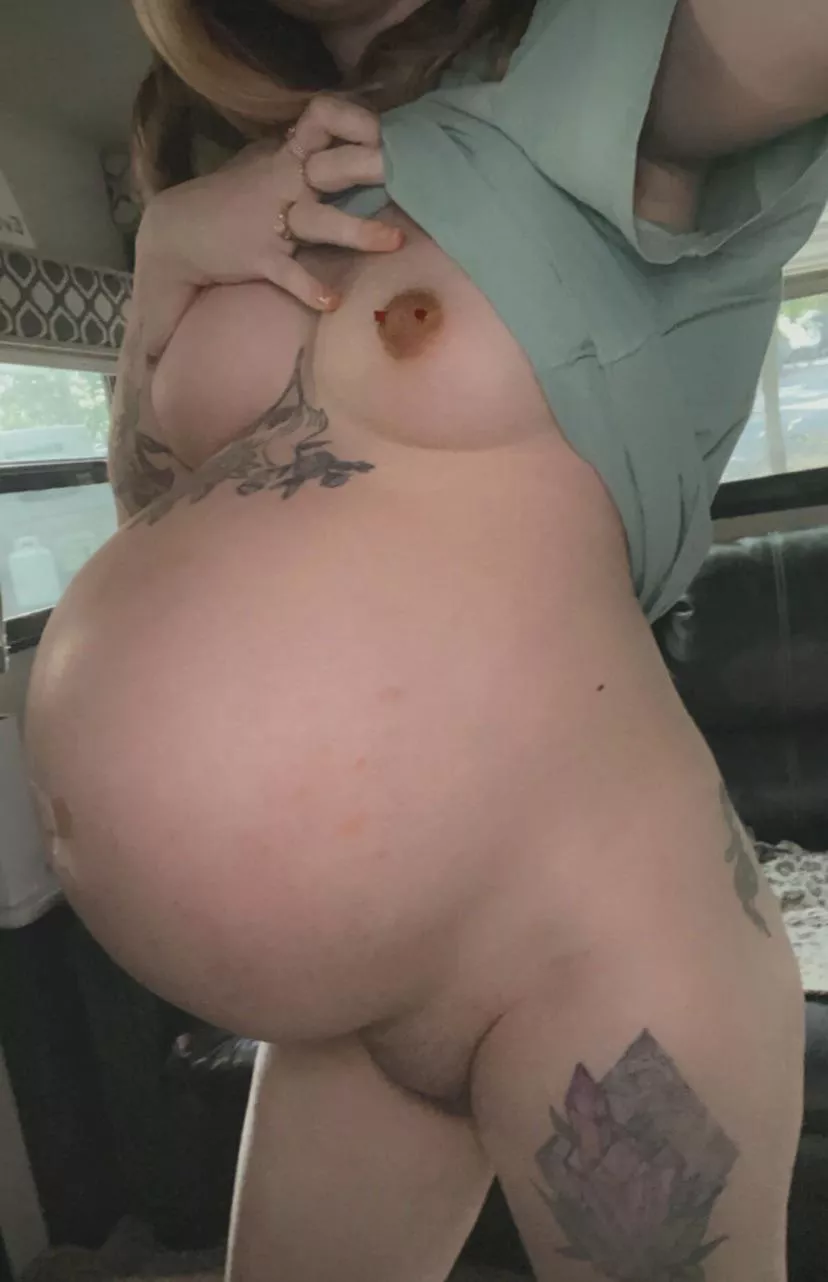 pregnant & bushy