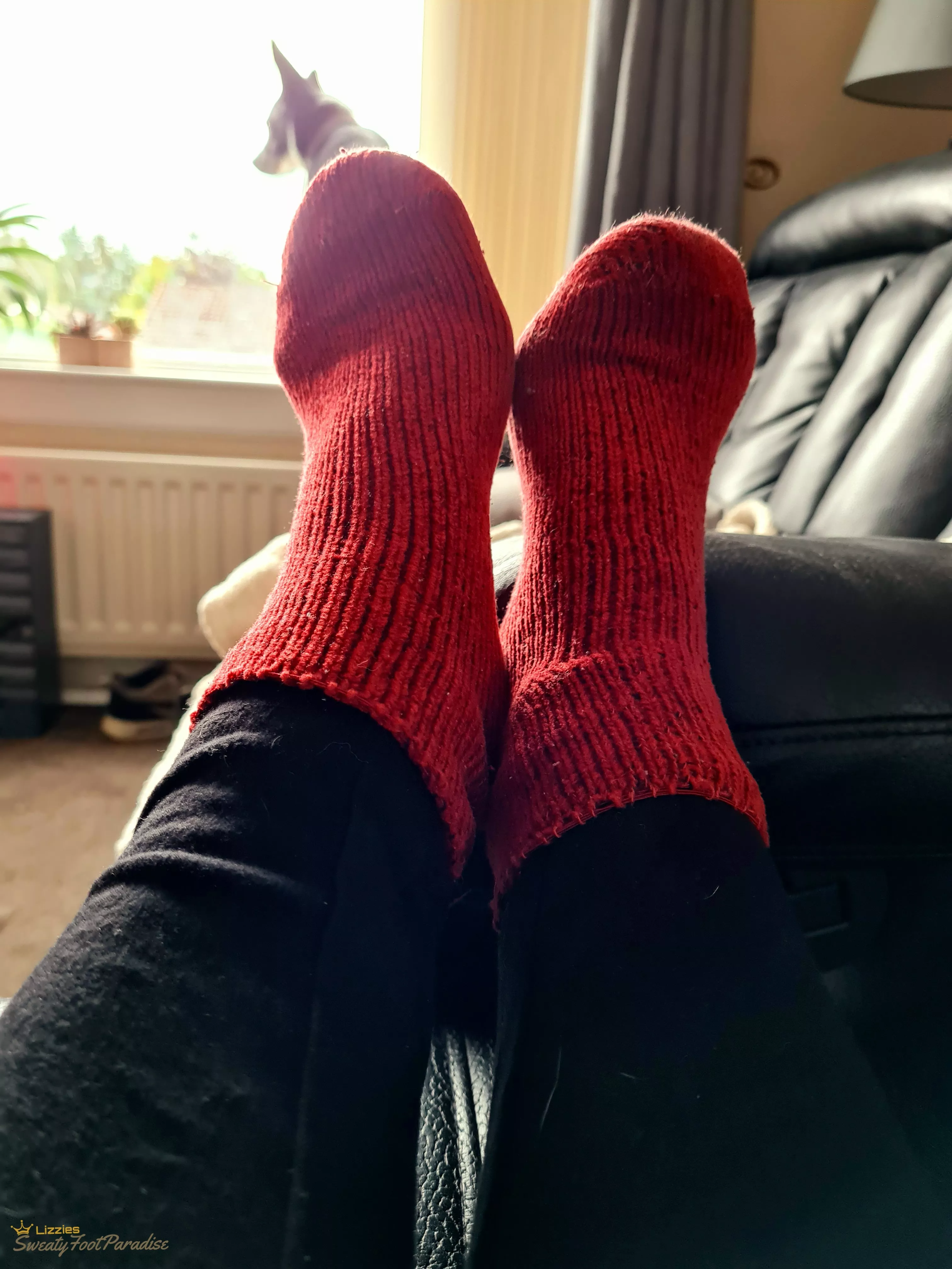 Sexy red socks 😏🥵 (Selling)