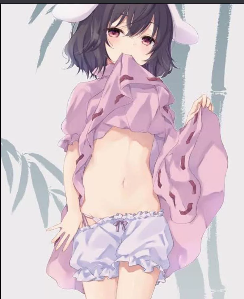 Tewiâ€™s Amazing Midriff(Touhou Project)