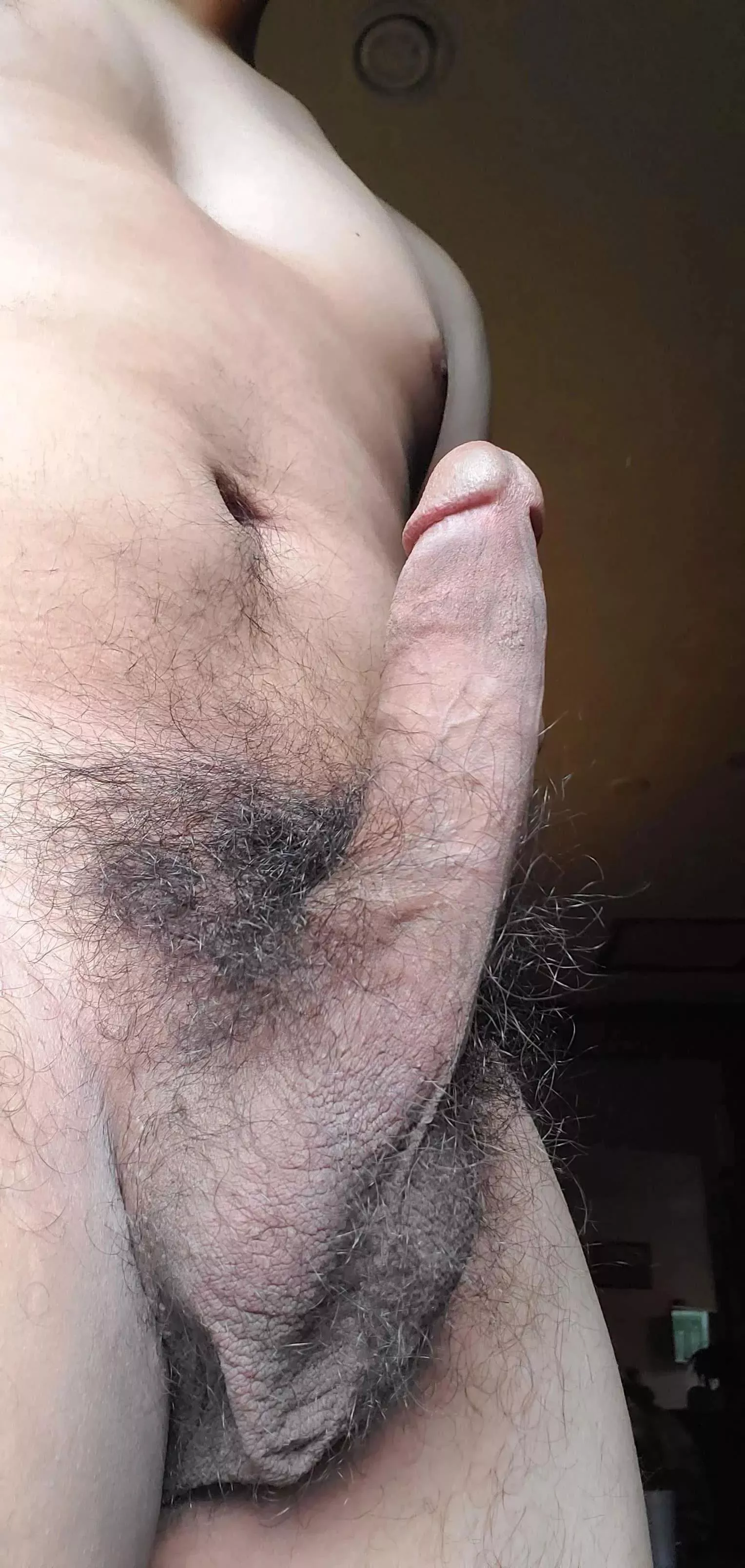 at attention! hairy cock