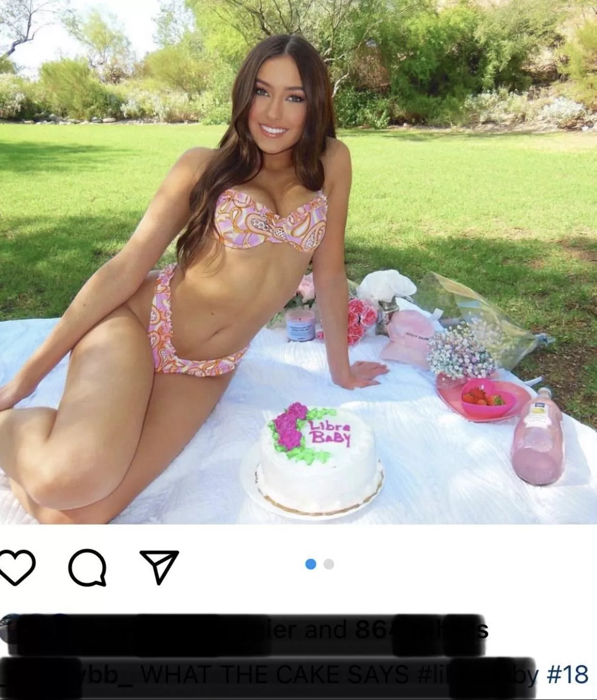 Bikini Birthday At the Park