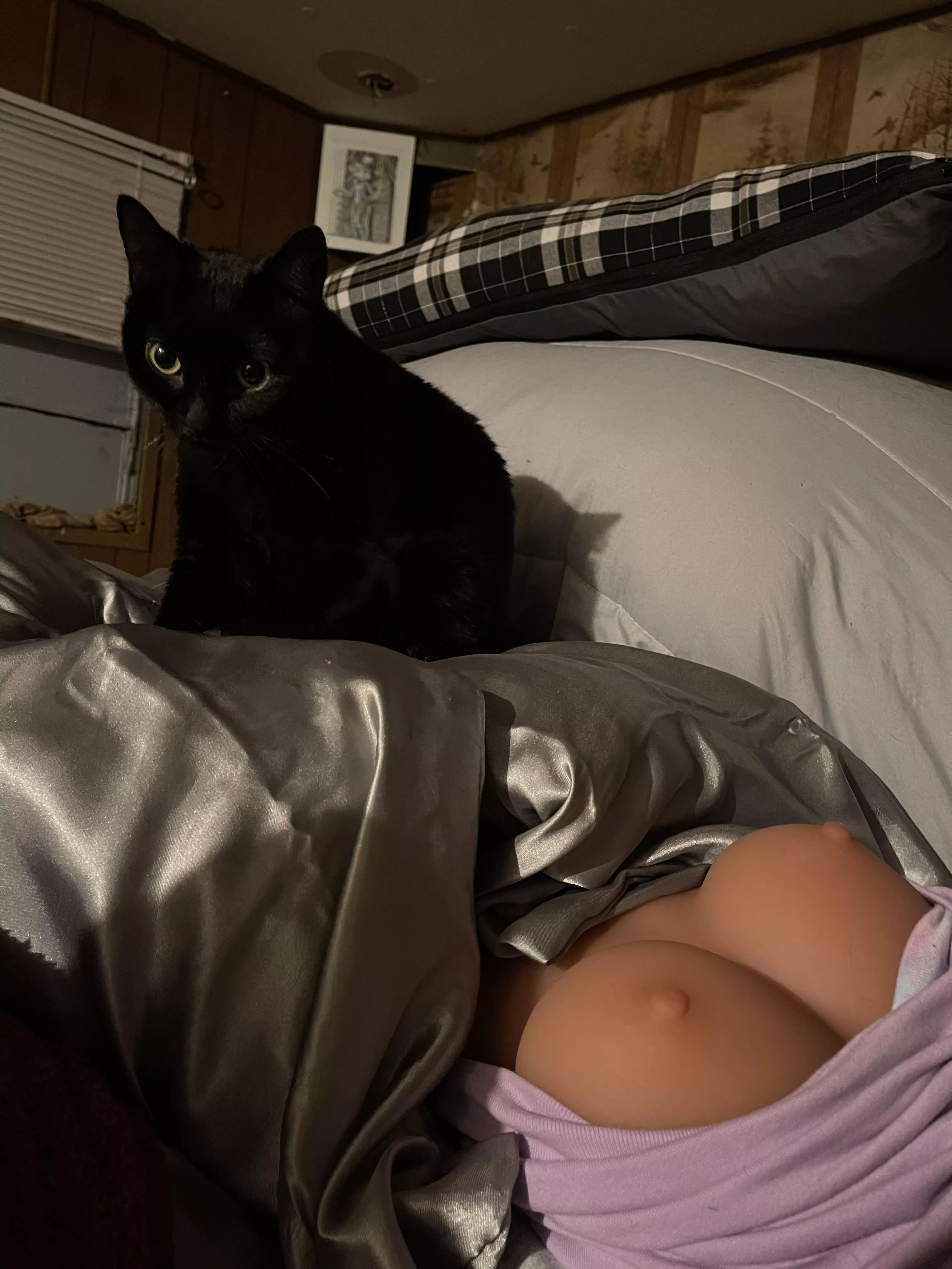 Black pussy with white titties